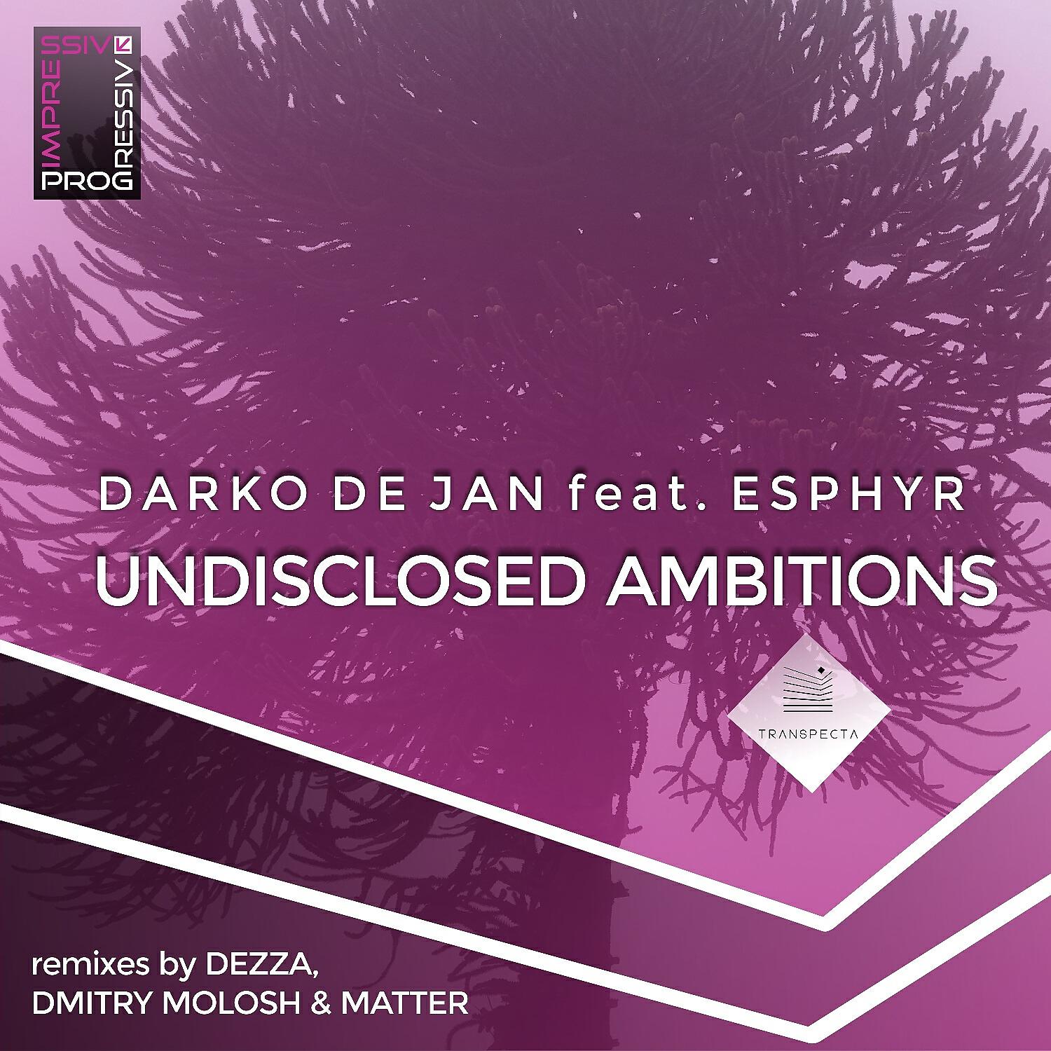 Релиз Undisclosed Ambitions (Remixes)