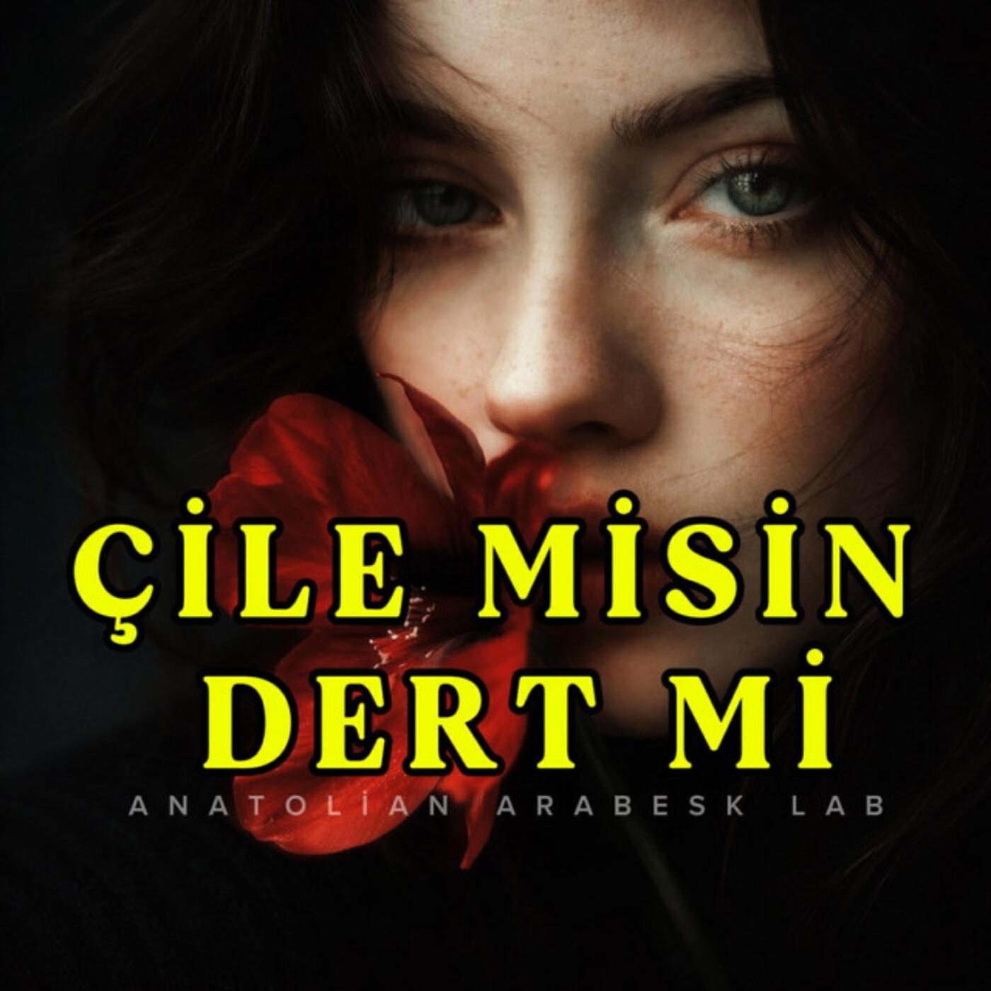 Релиз Çile Misin Dert Mi Gam Mı Keder Mi