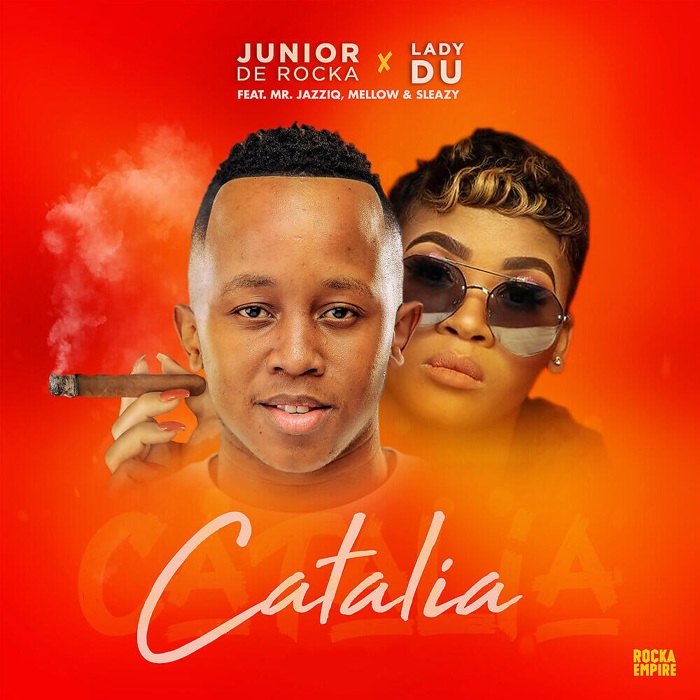 Релиз Catalia