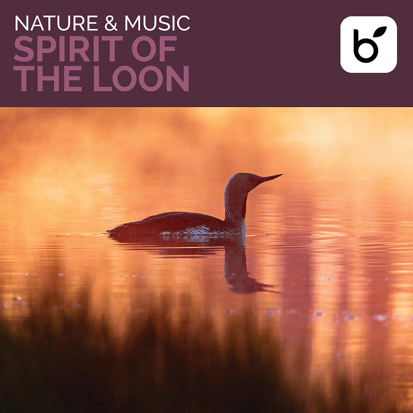 Релиз Nature & Music: Spirit Of The Loon