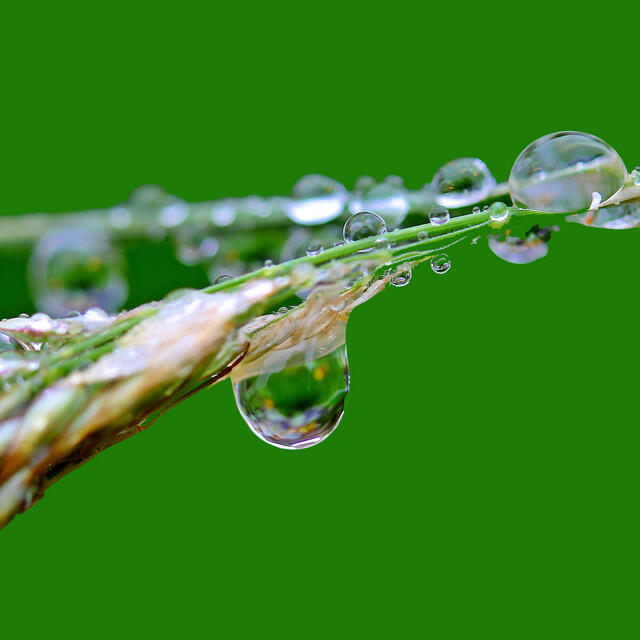 Релиз 40 Spa Relaxation & Relaxation Rain Sounds