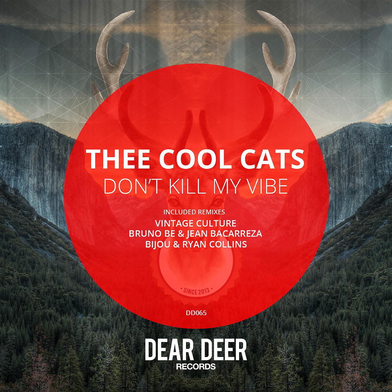 Постер альбома Don't Kill My Vibe