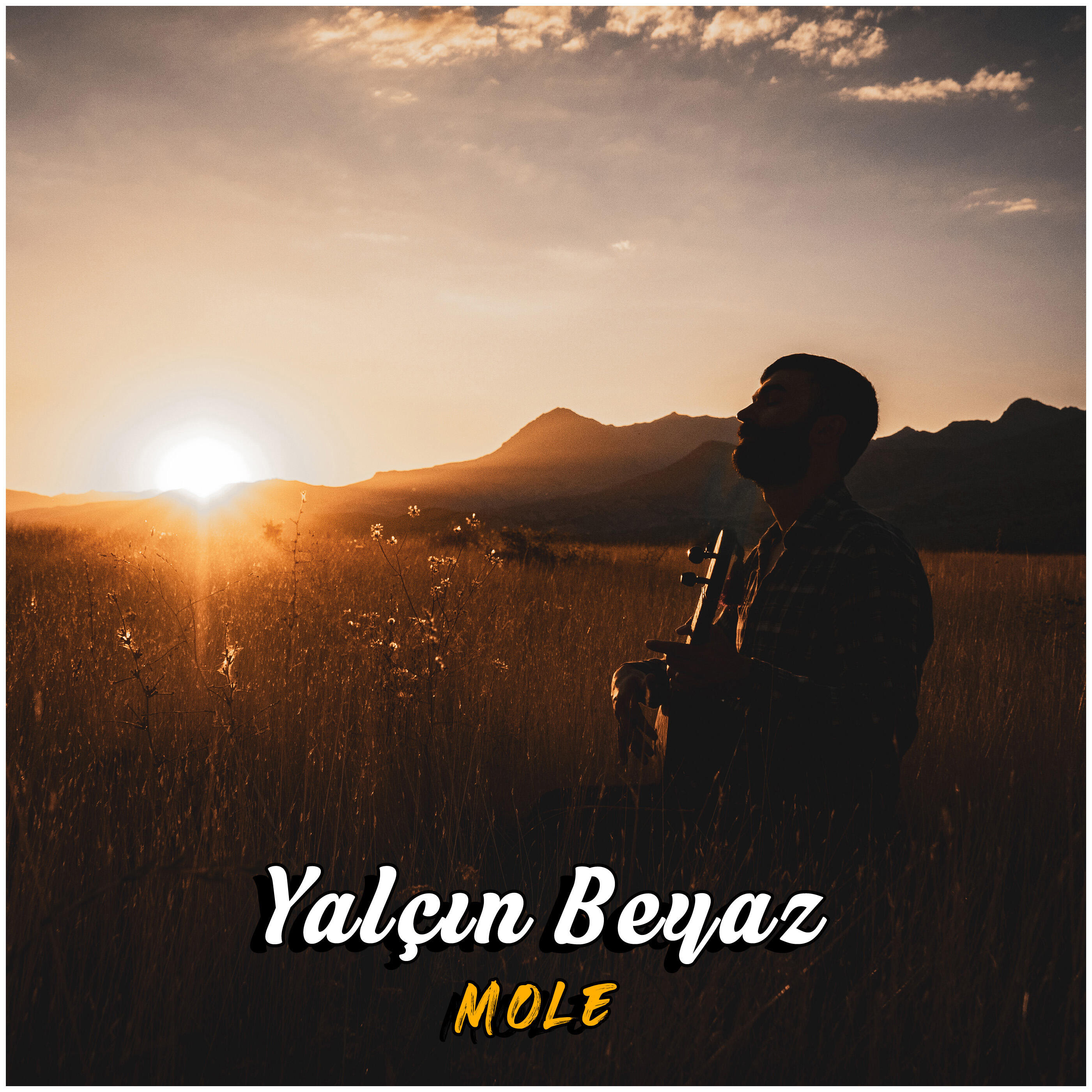Релиз Mole
