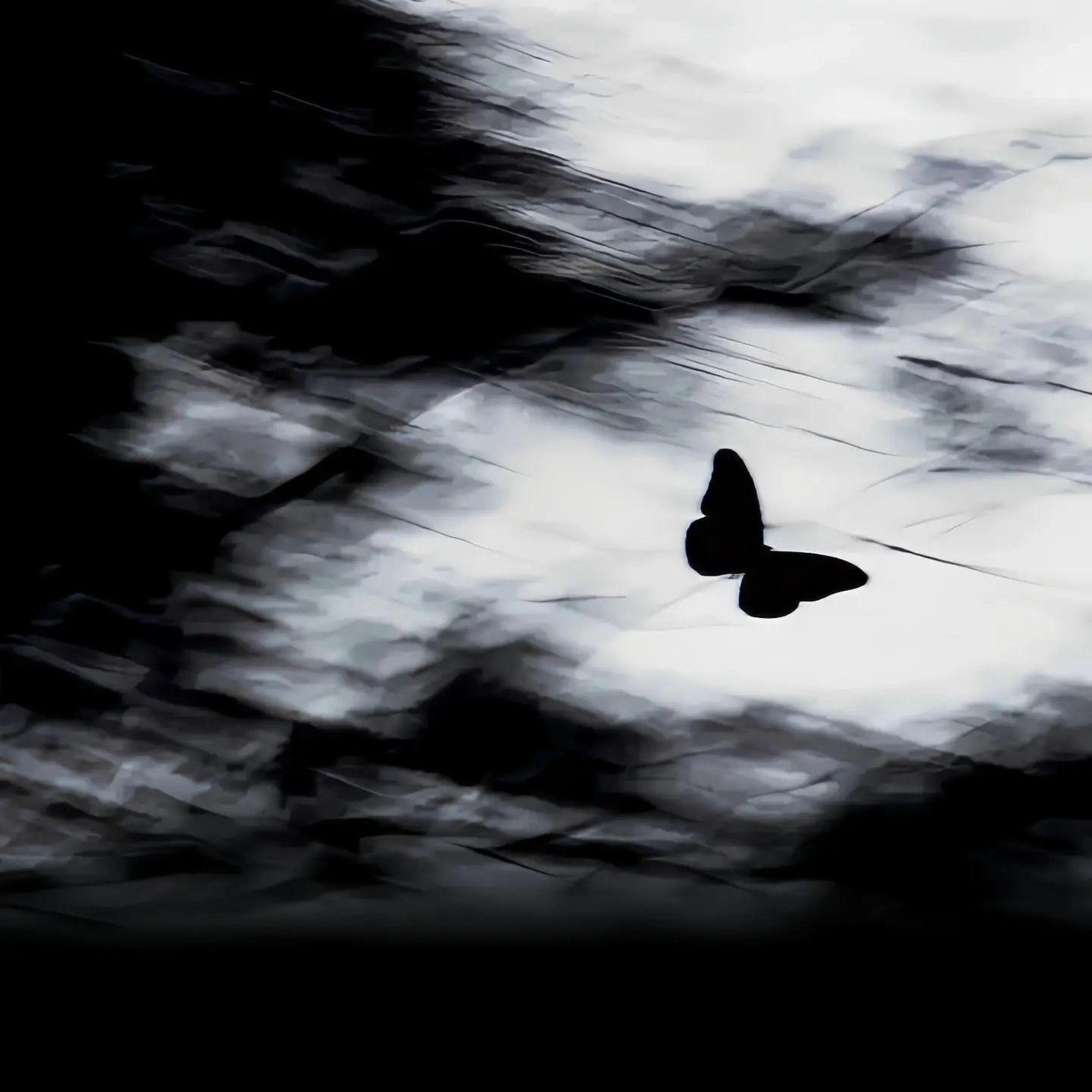 DH-Jungle