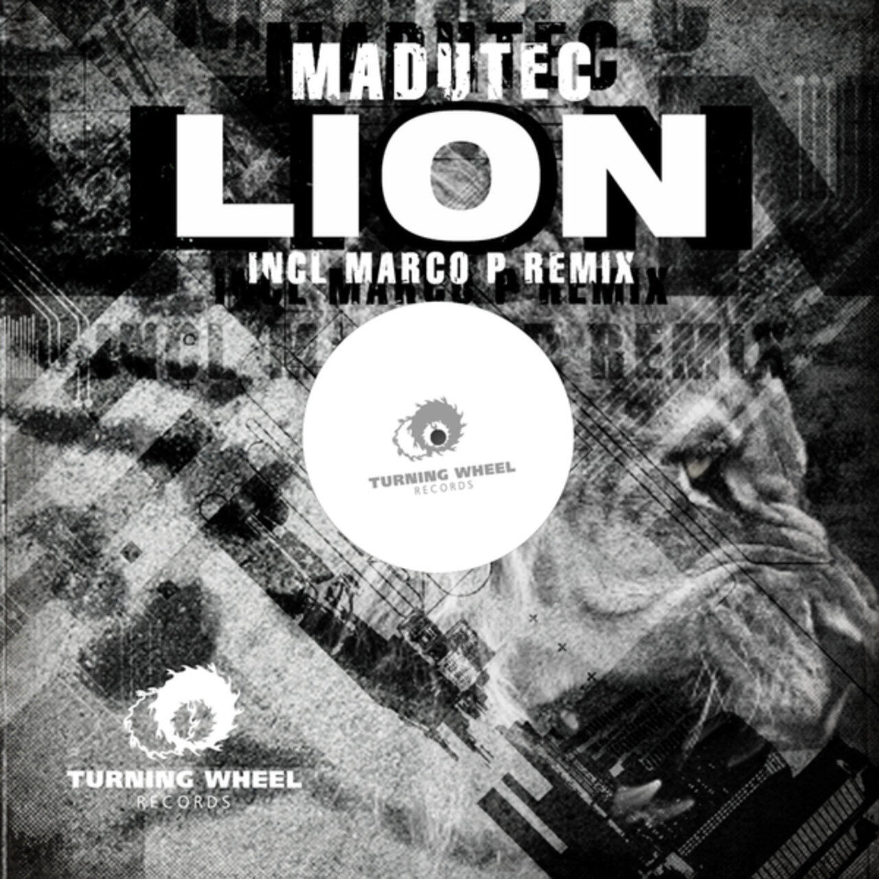 Релиз Lion