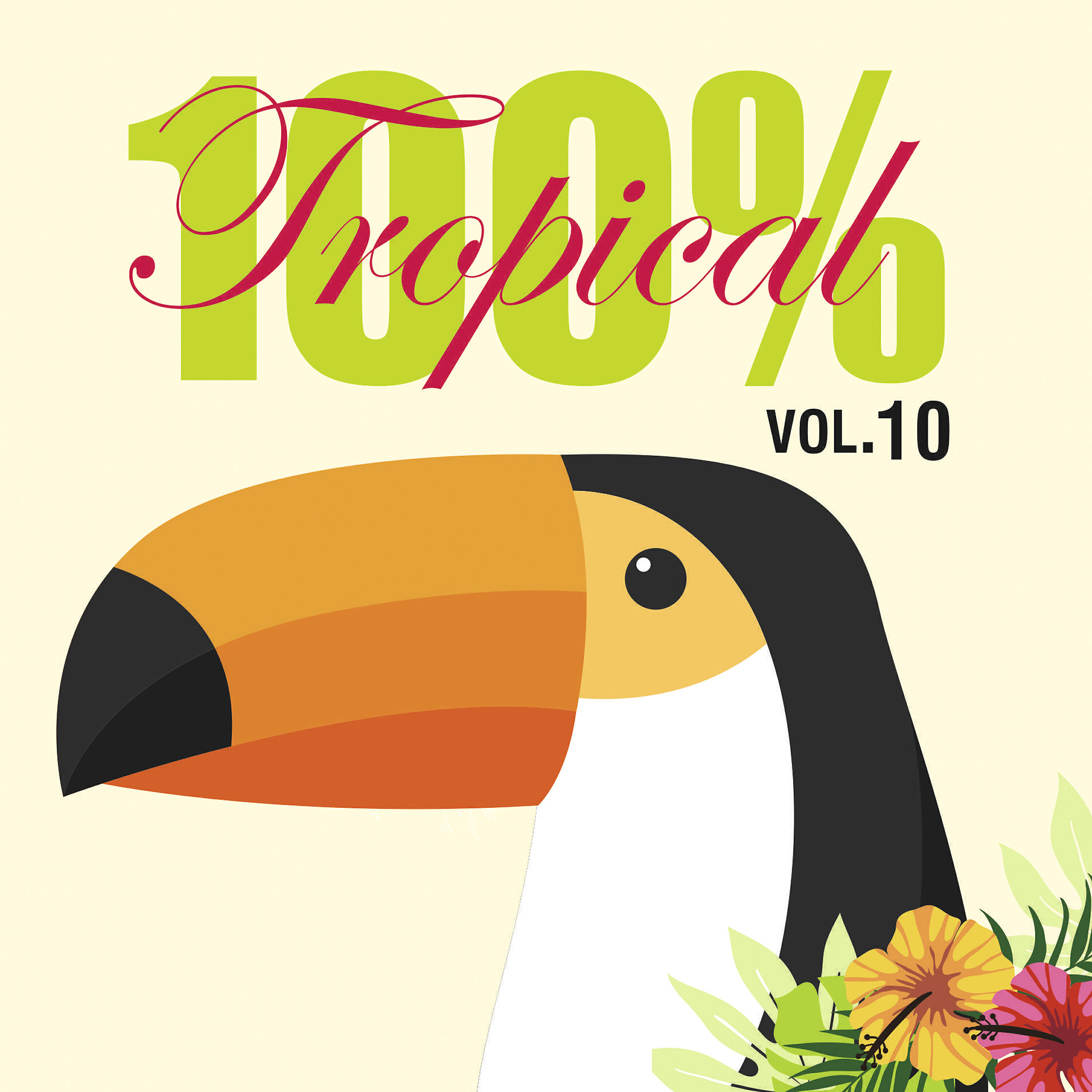 Релиз 100% Tropical, Vol. 10