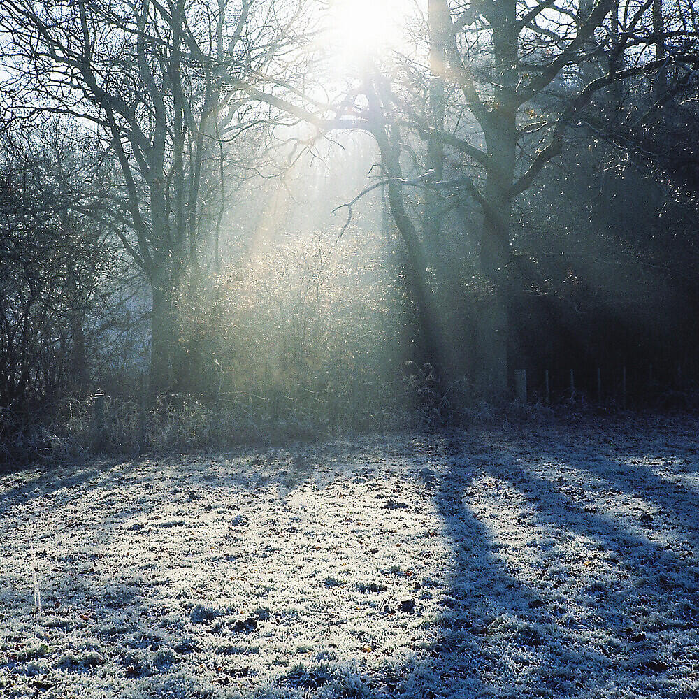 Релиз Heavenward