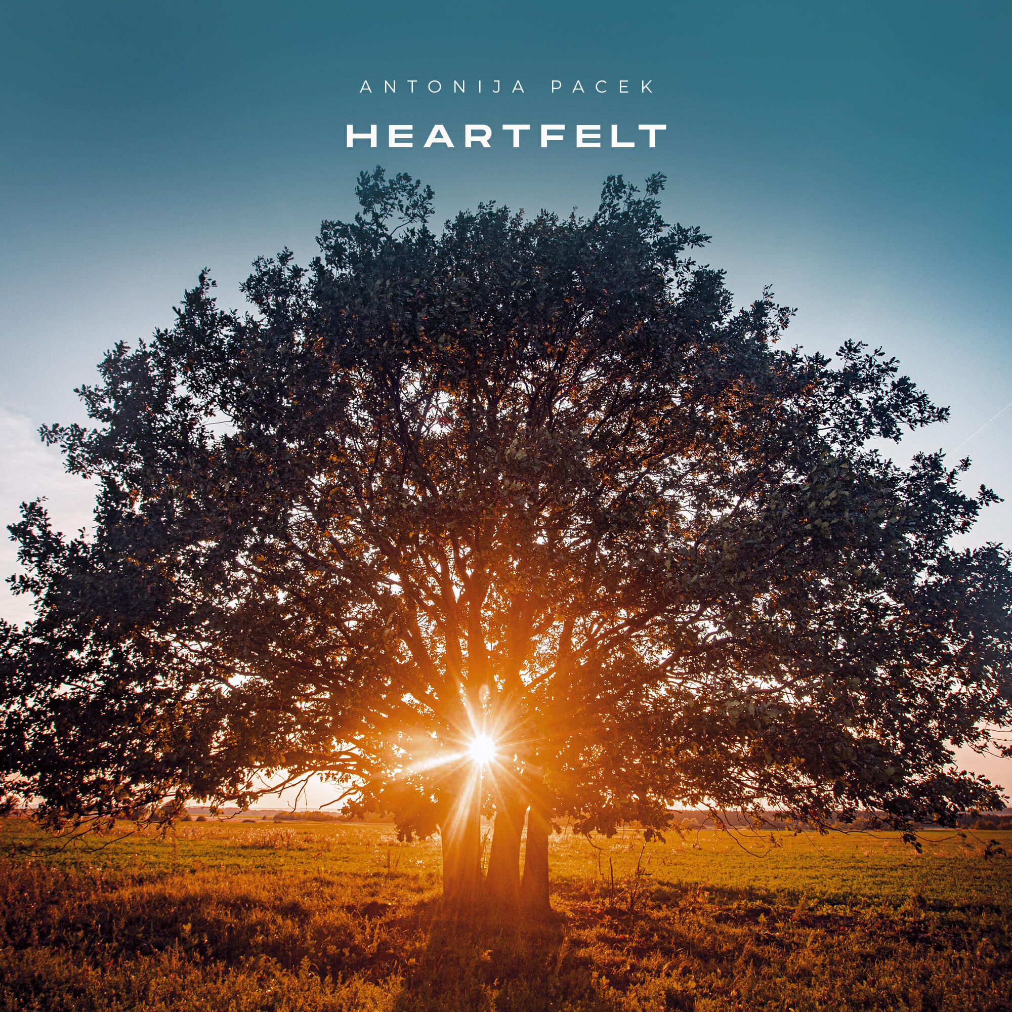Релиз Heartfelt
