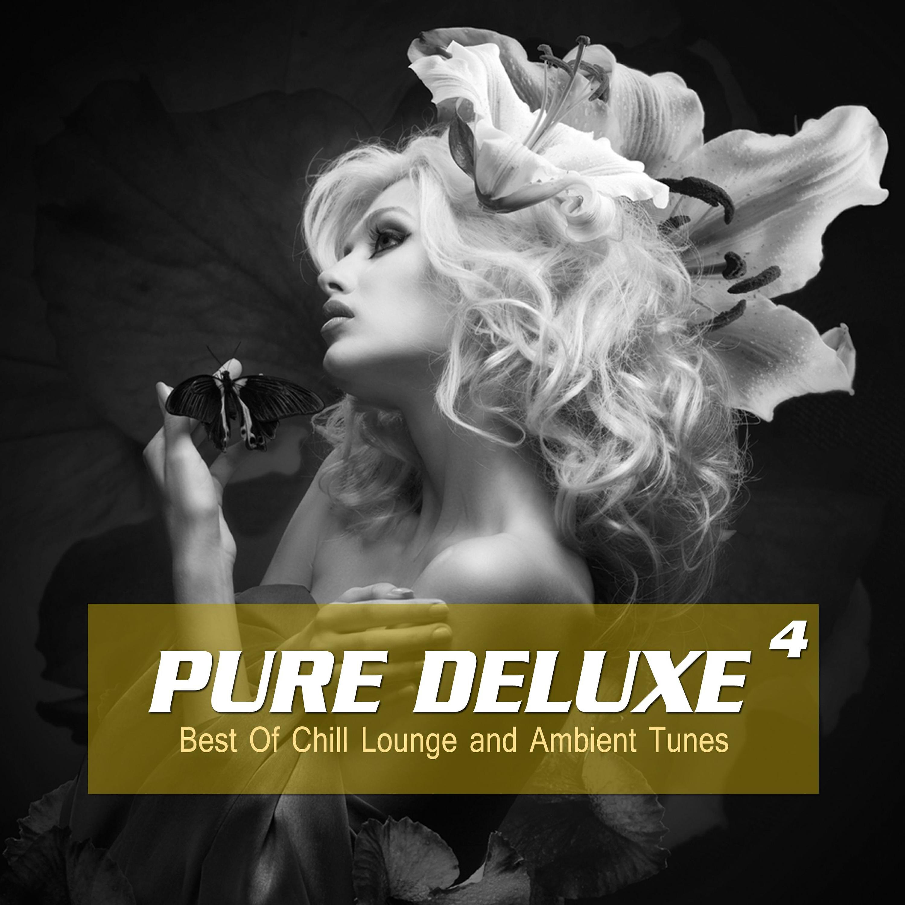 Постер альбома Pure Deluxe, Vol. 4 (Best of Chill Lounge and Ambient Tunes)