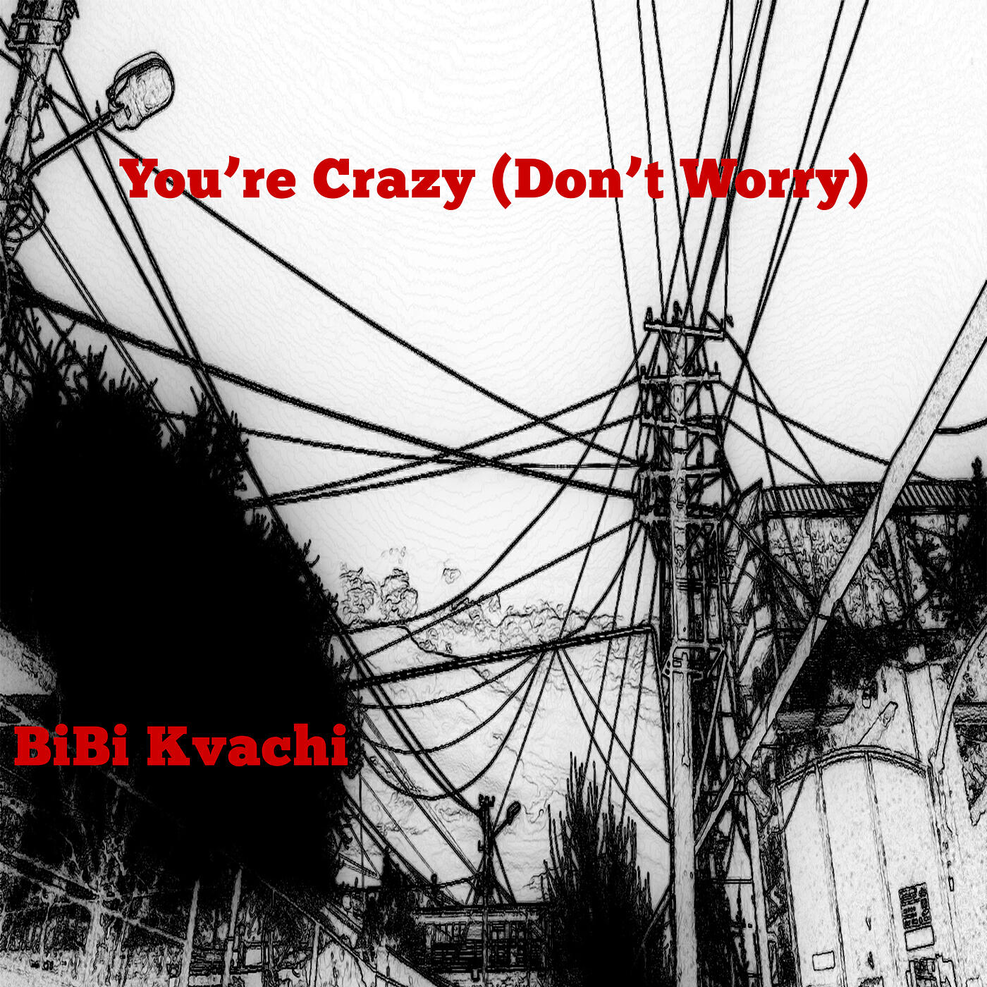 Релиз You're Crazy (Don't Worry)