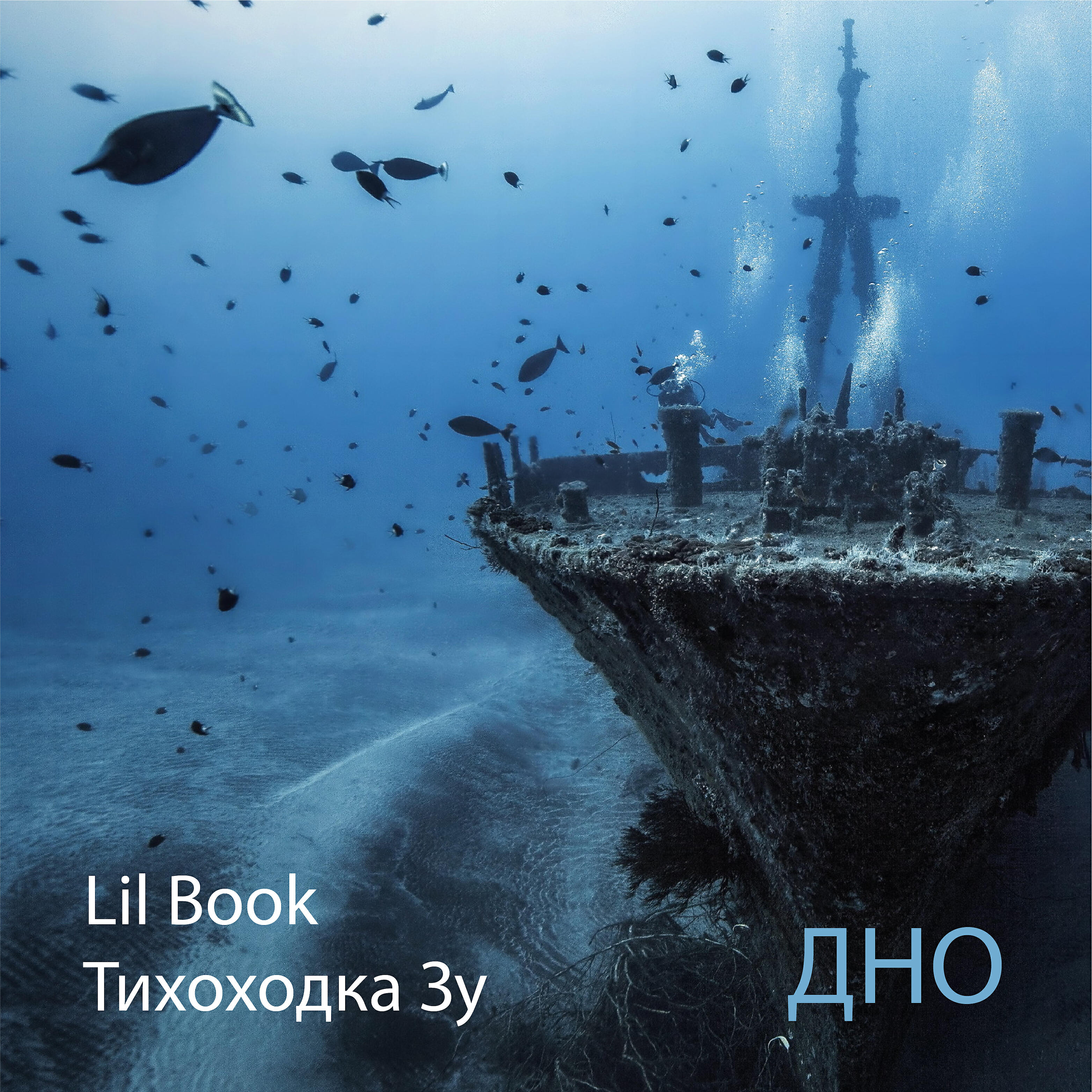 Тихоходка Зу