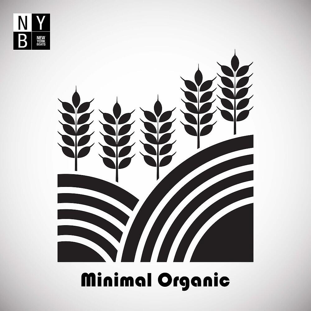 Релиз Minimal Organic