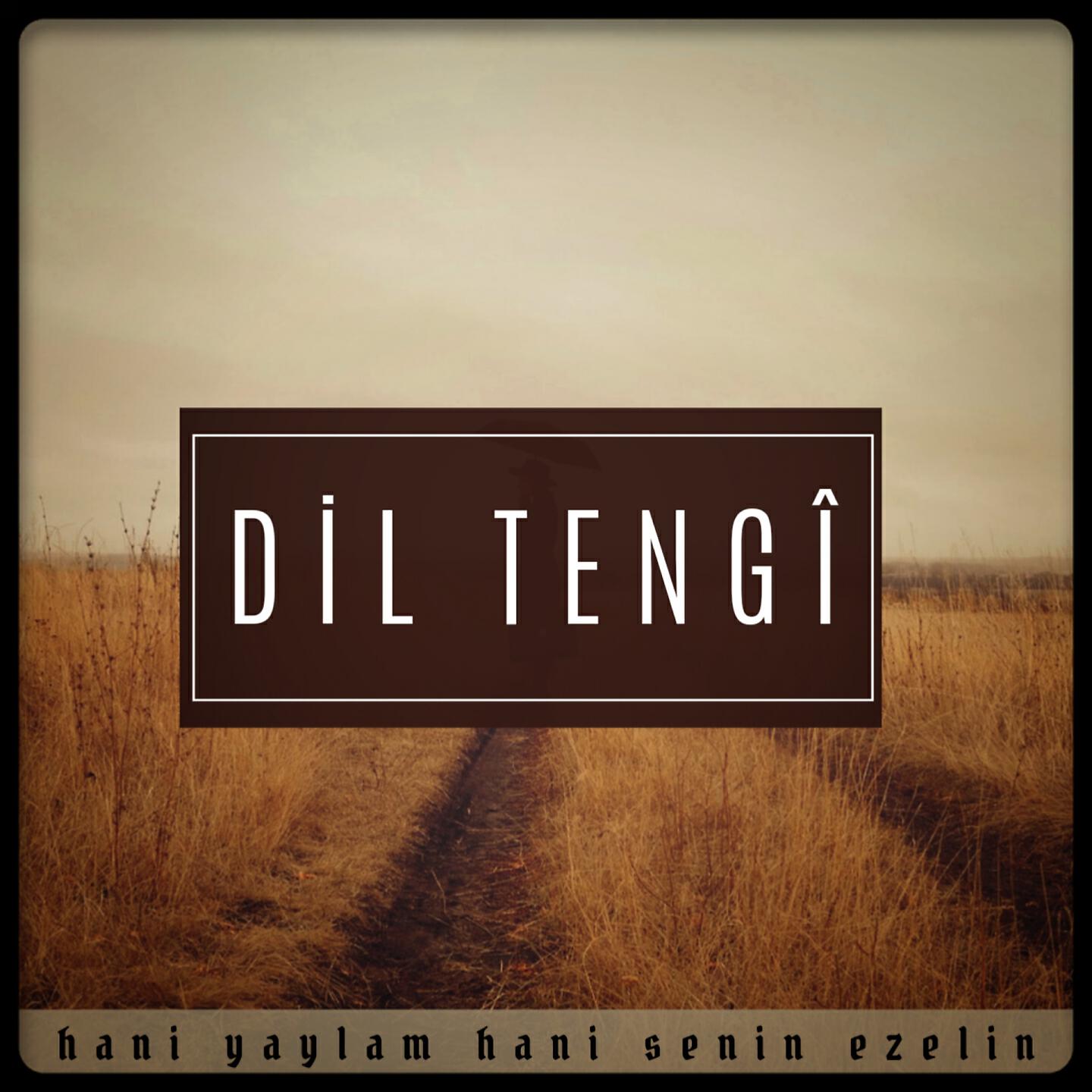 Релиз Hani Yaylam Hani Senin Ezelin