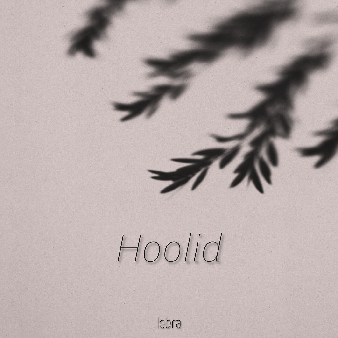 Релиз Hoolid