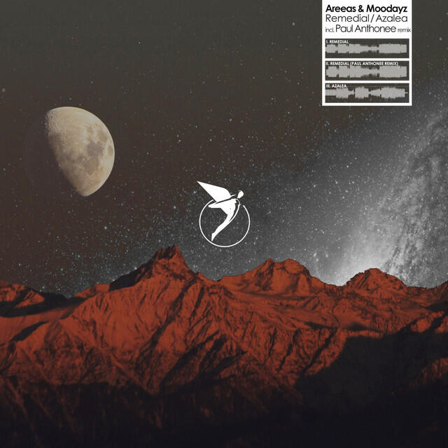 Релиз Remedial