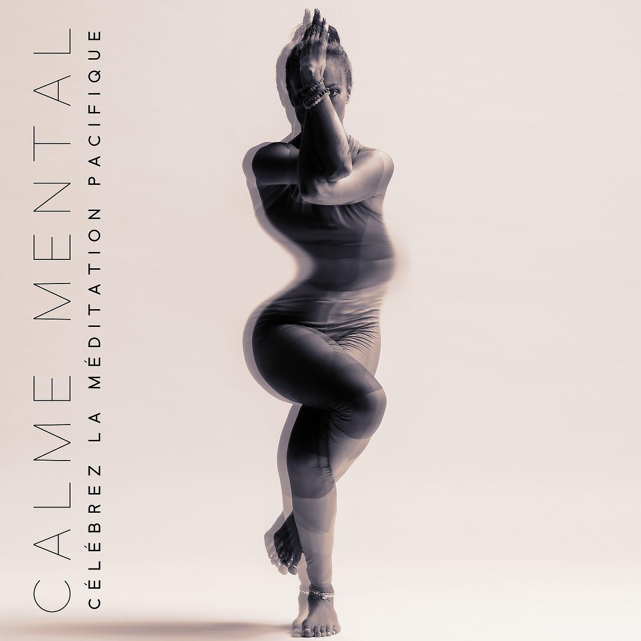 Релиз Calme mental - Célébrez la méditation pacifique