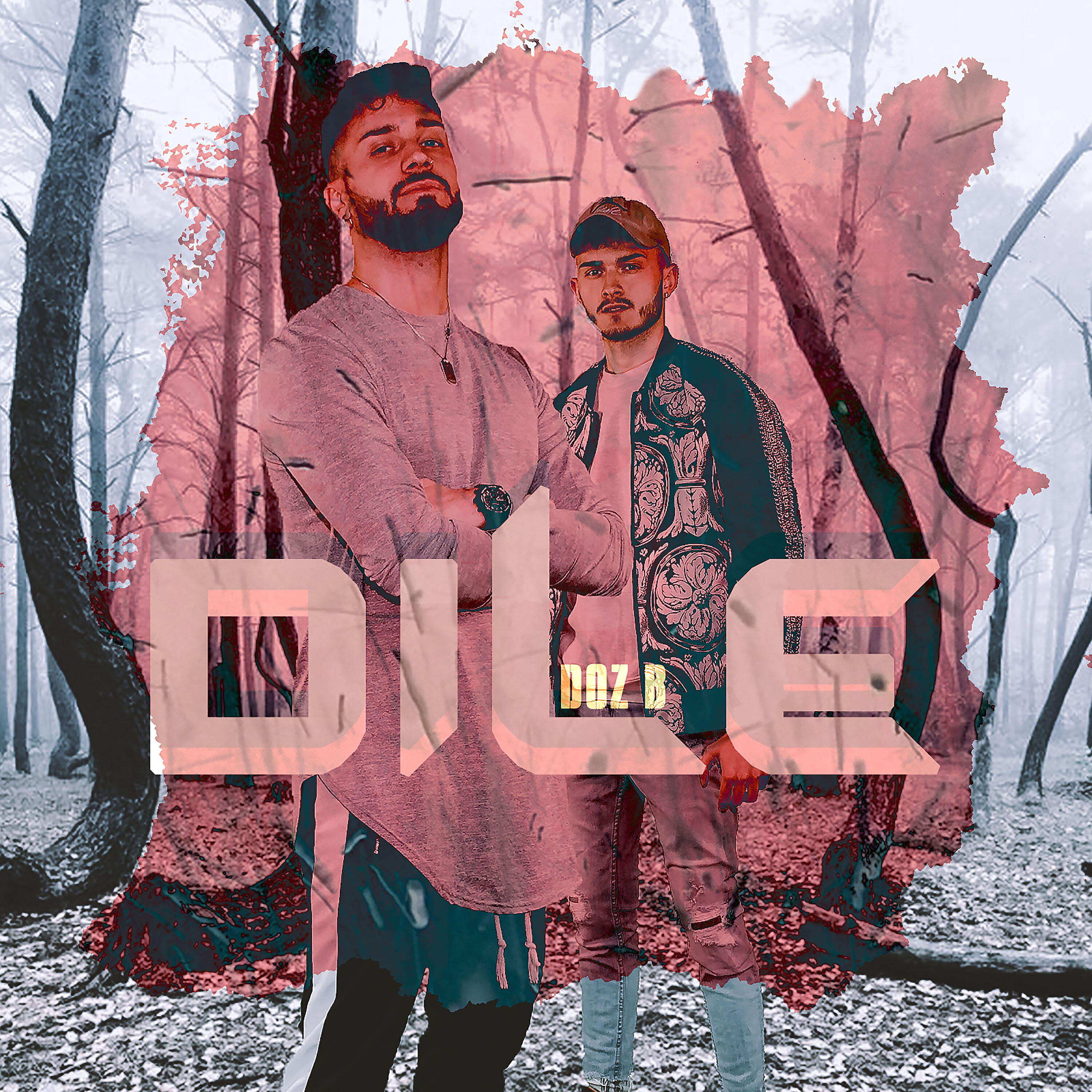 Релиз Dile