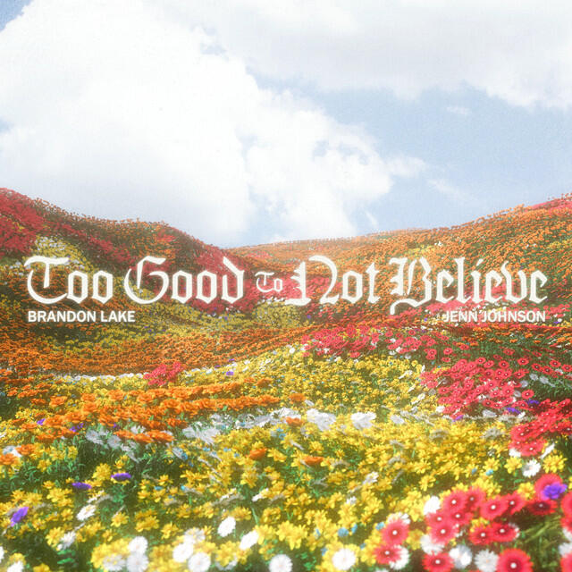 Релиз Too Good To Not Believe (Radio Version)