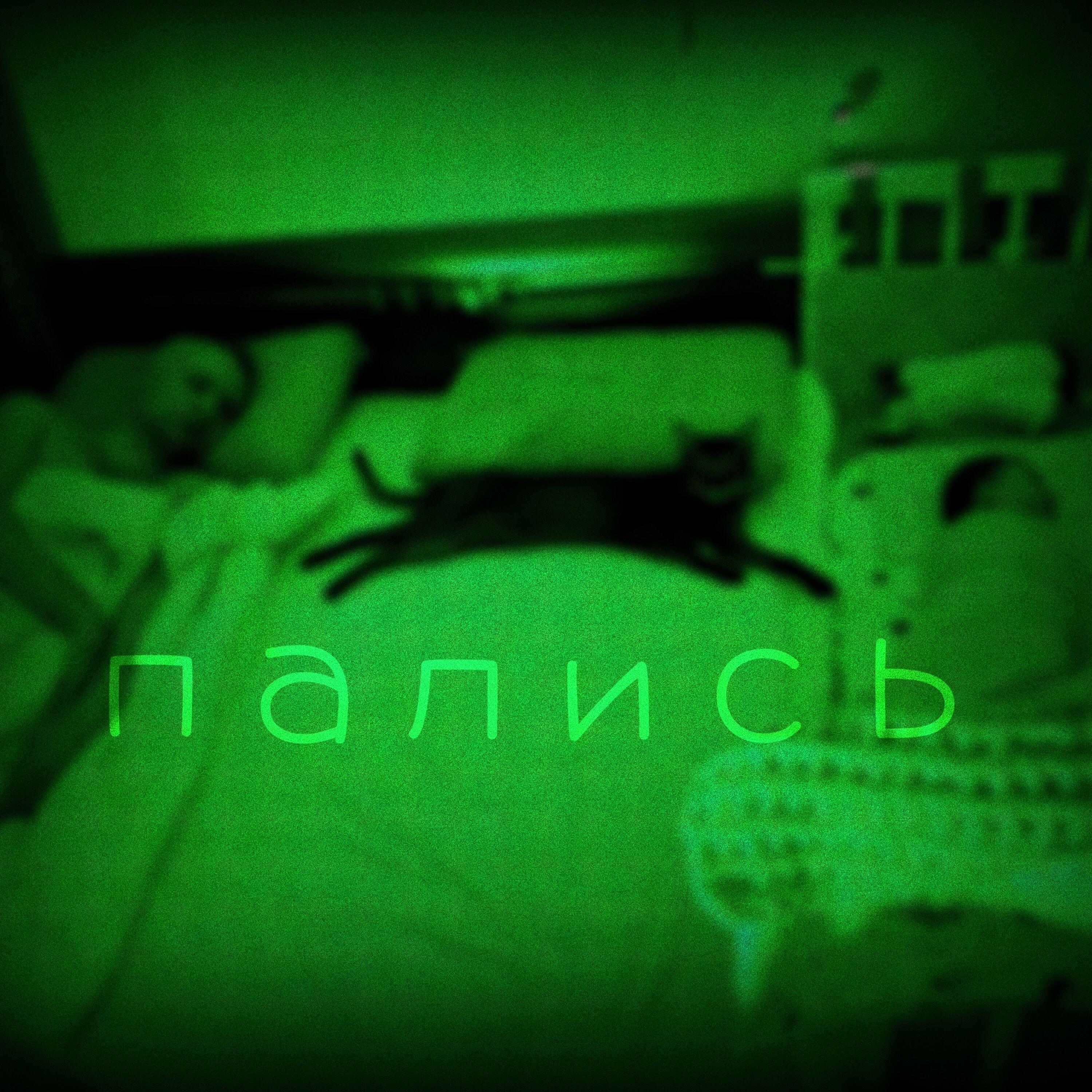 Релиз Пались