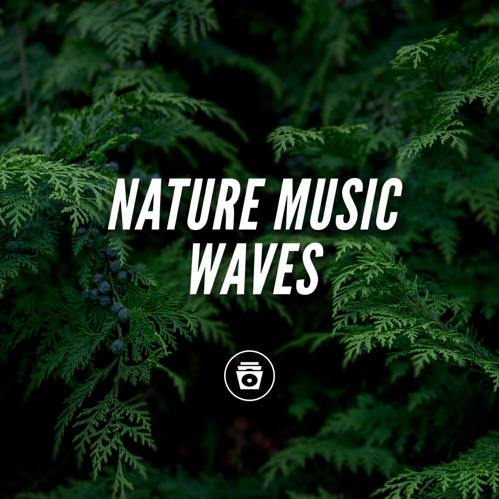 Релиз Nature Music Waves