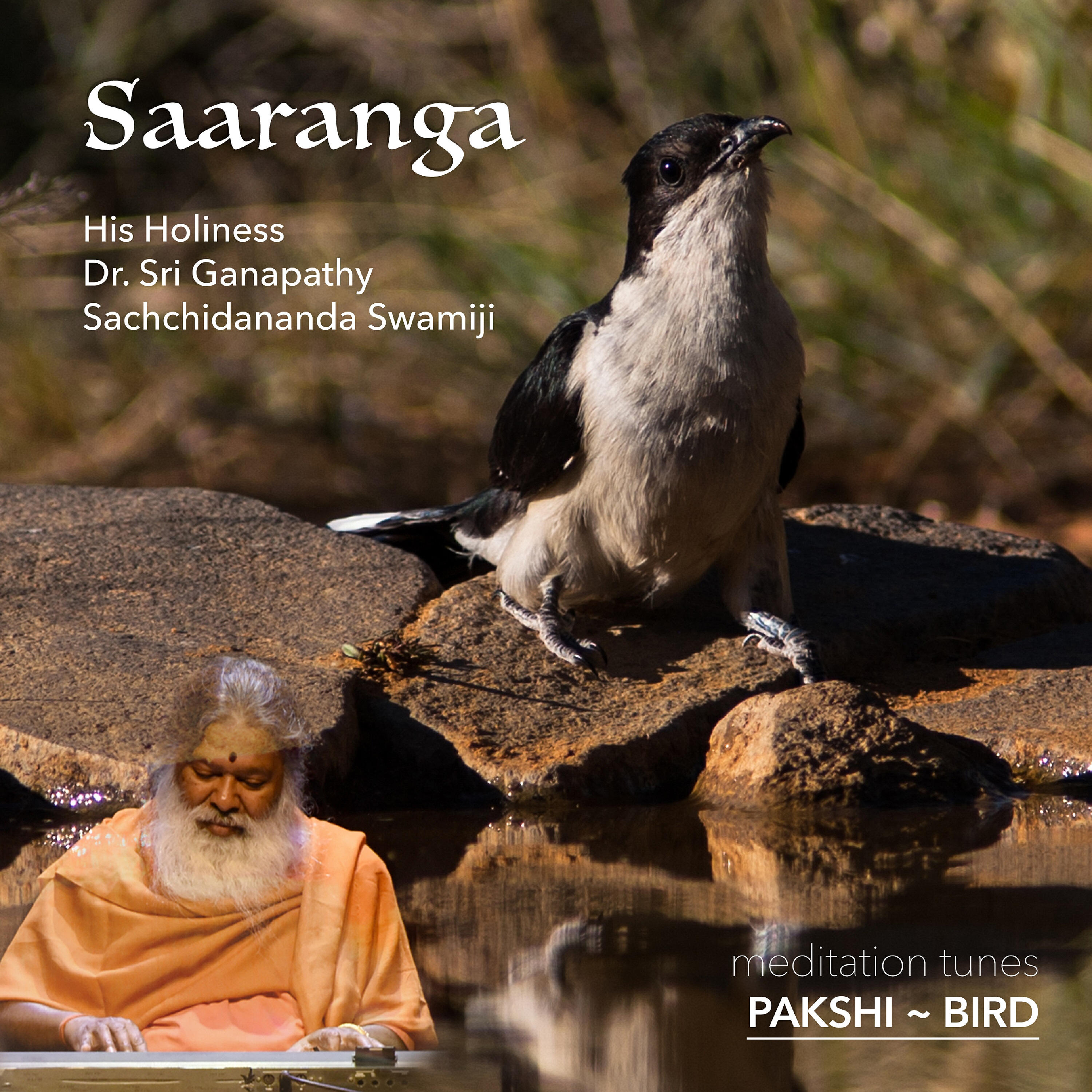 Релиз Meditation Tunes - Pakshi / Bird - Saaranga