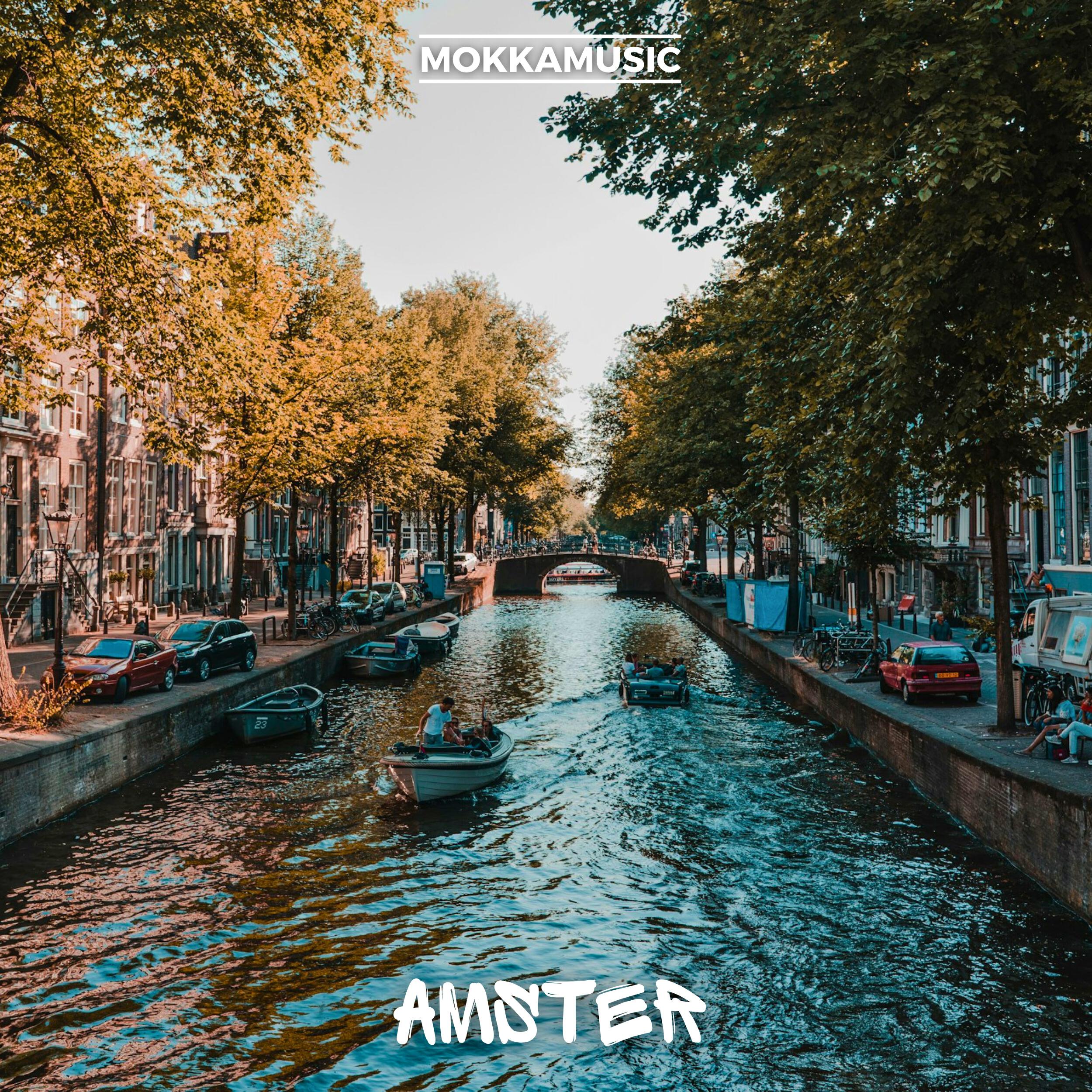 Релиз Amster