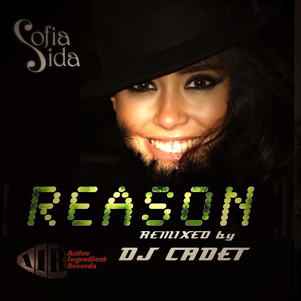 Релиз Reason