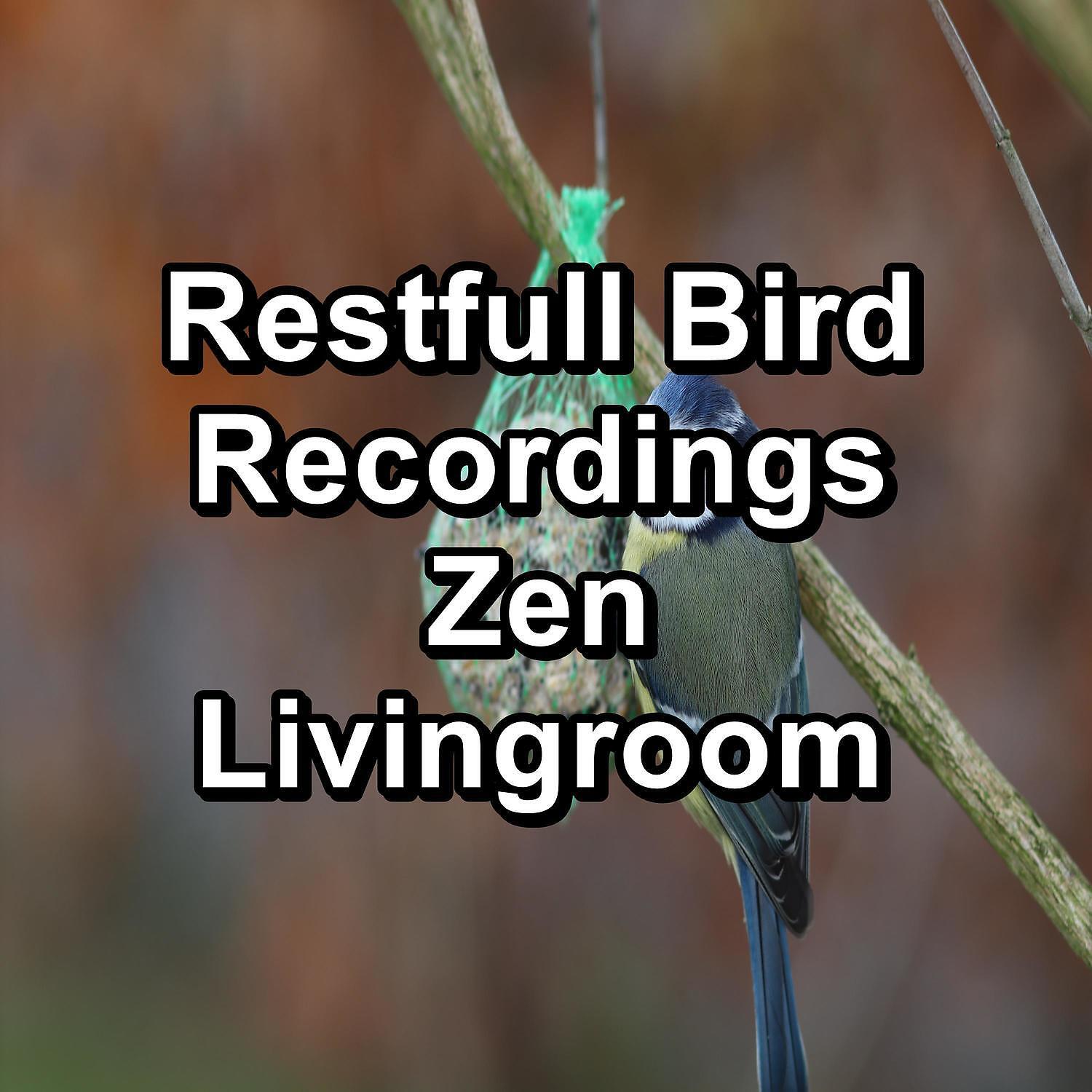 Релиз Restfull Bird Recordings Zen Livingroom