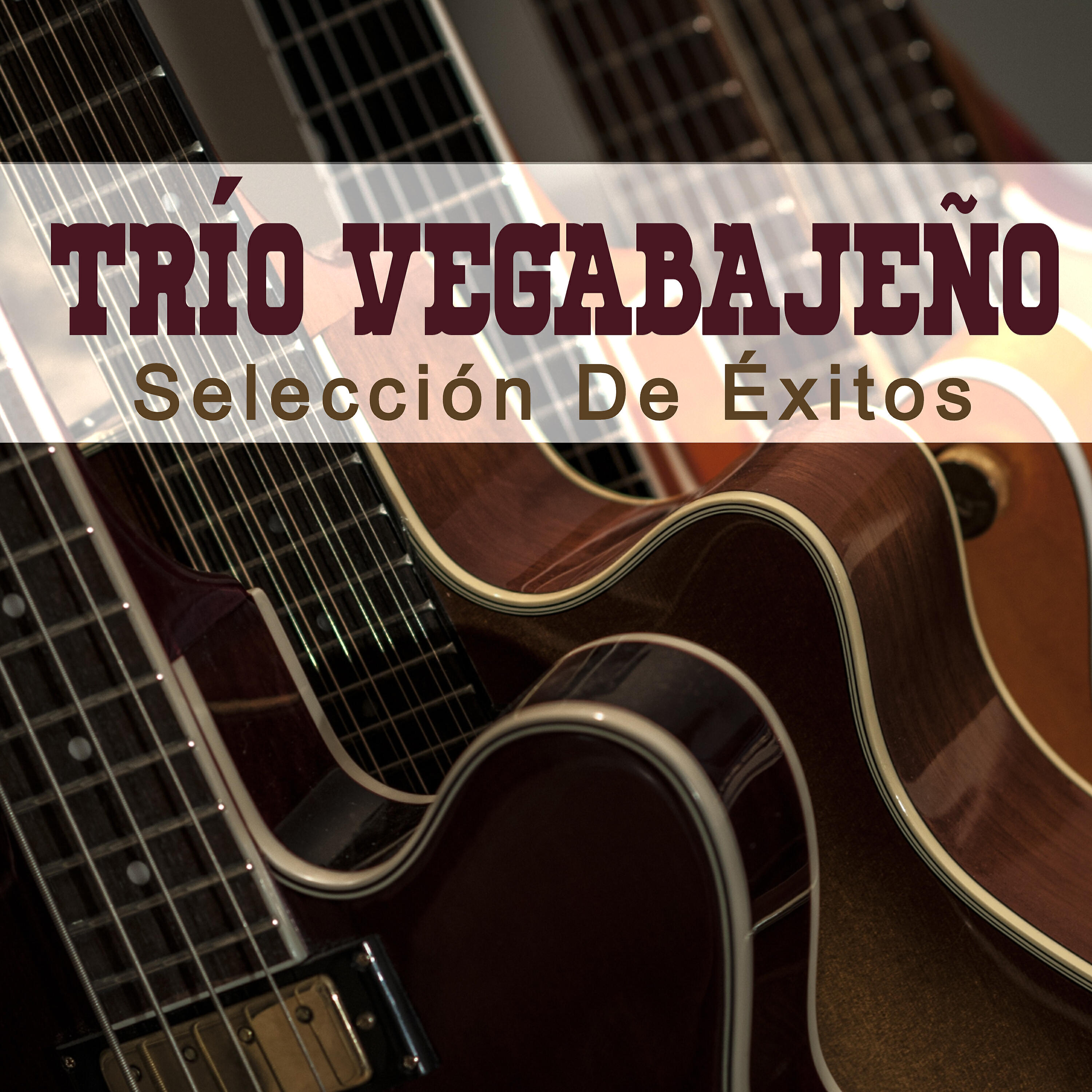 Релиз Selección de Éxitos
