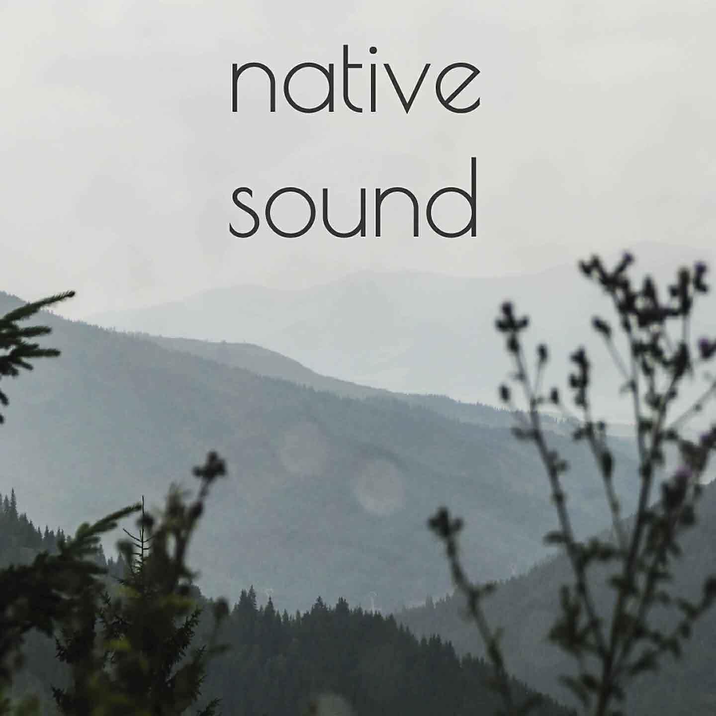 Релиз native sound