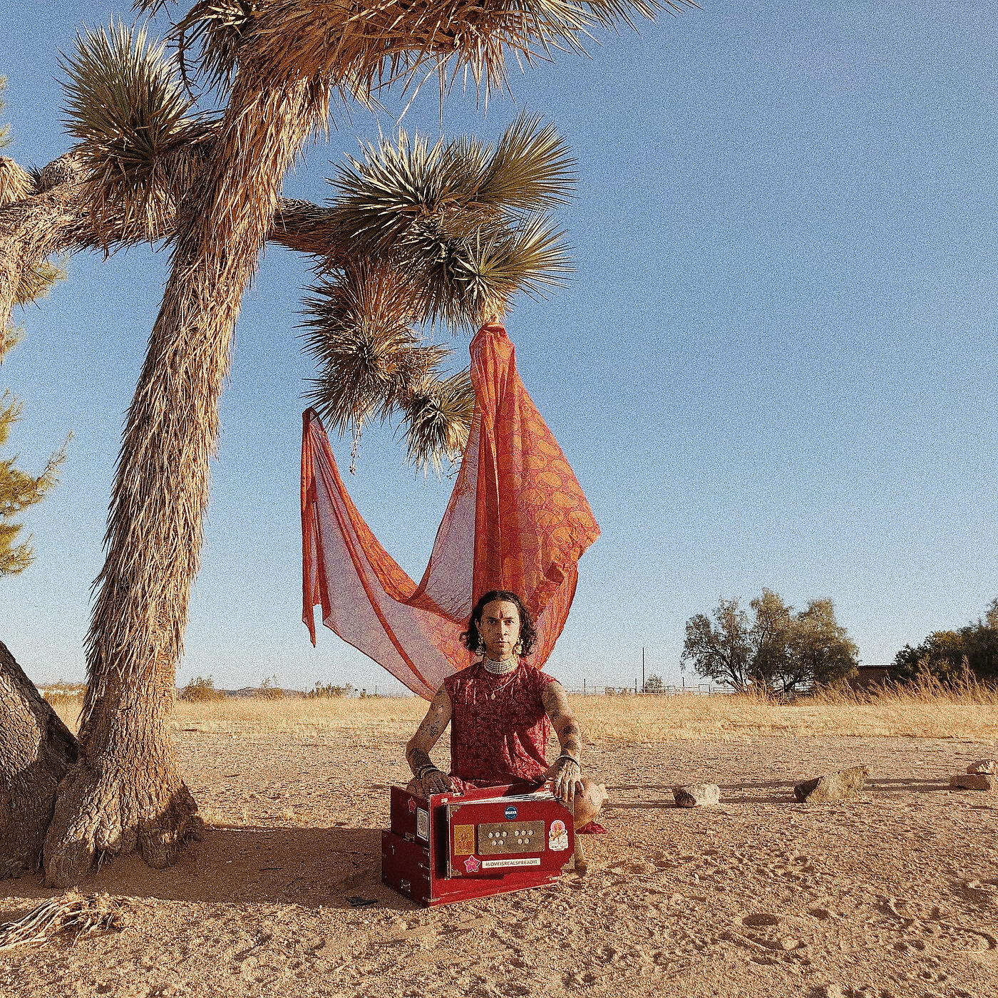 Релиз Earthsongs