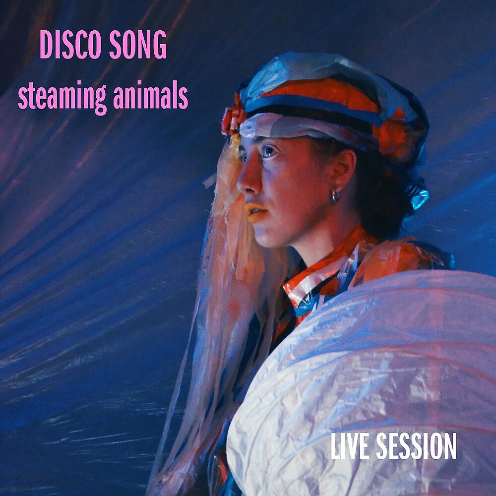 Релиз Disco SONG (Live Session)