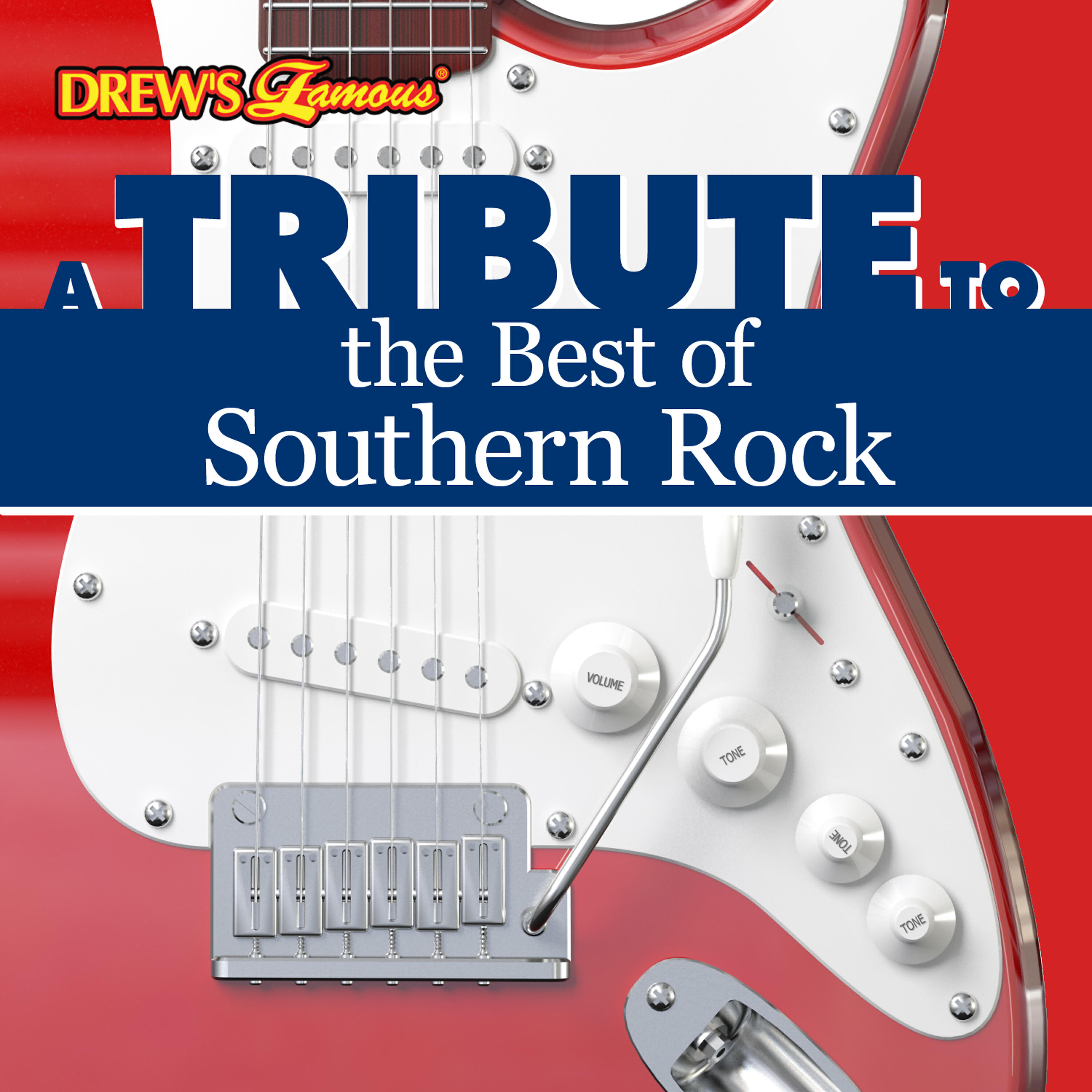 Релиз A Tribute to the Best of Southern Rock