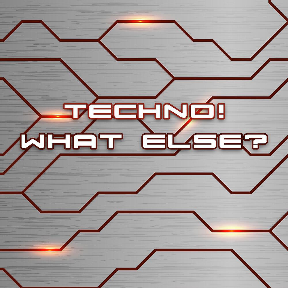 Релиз Techno! What Else?