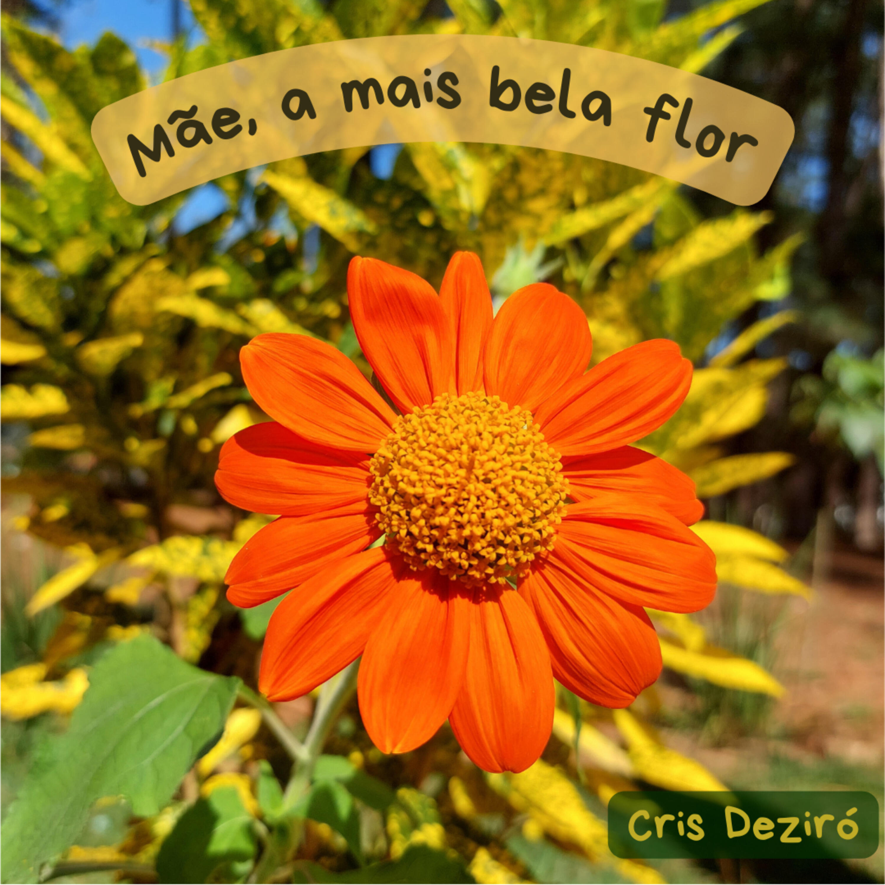 Cris Deziró