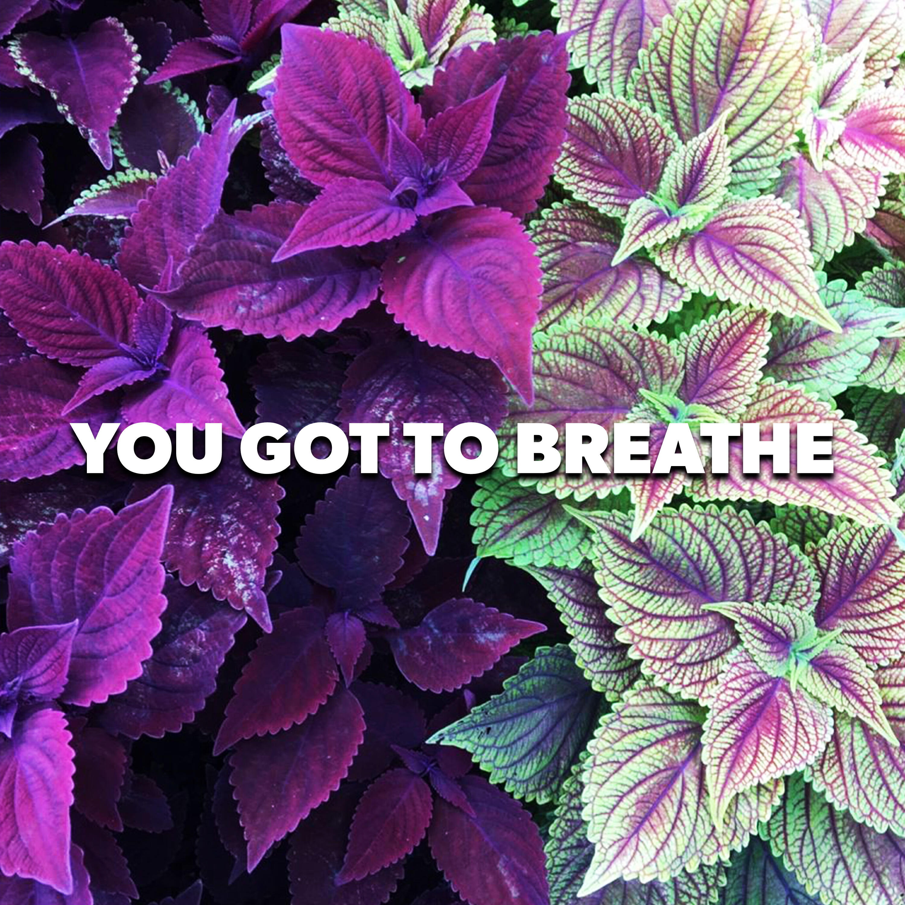 Релиз You Got To Breathe