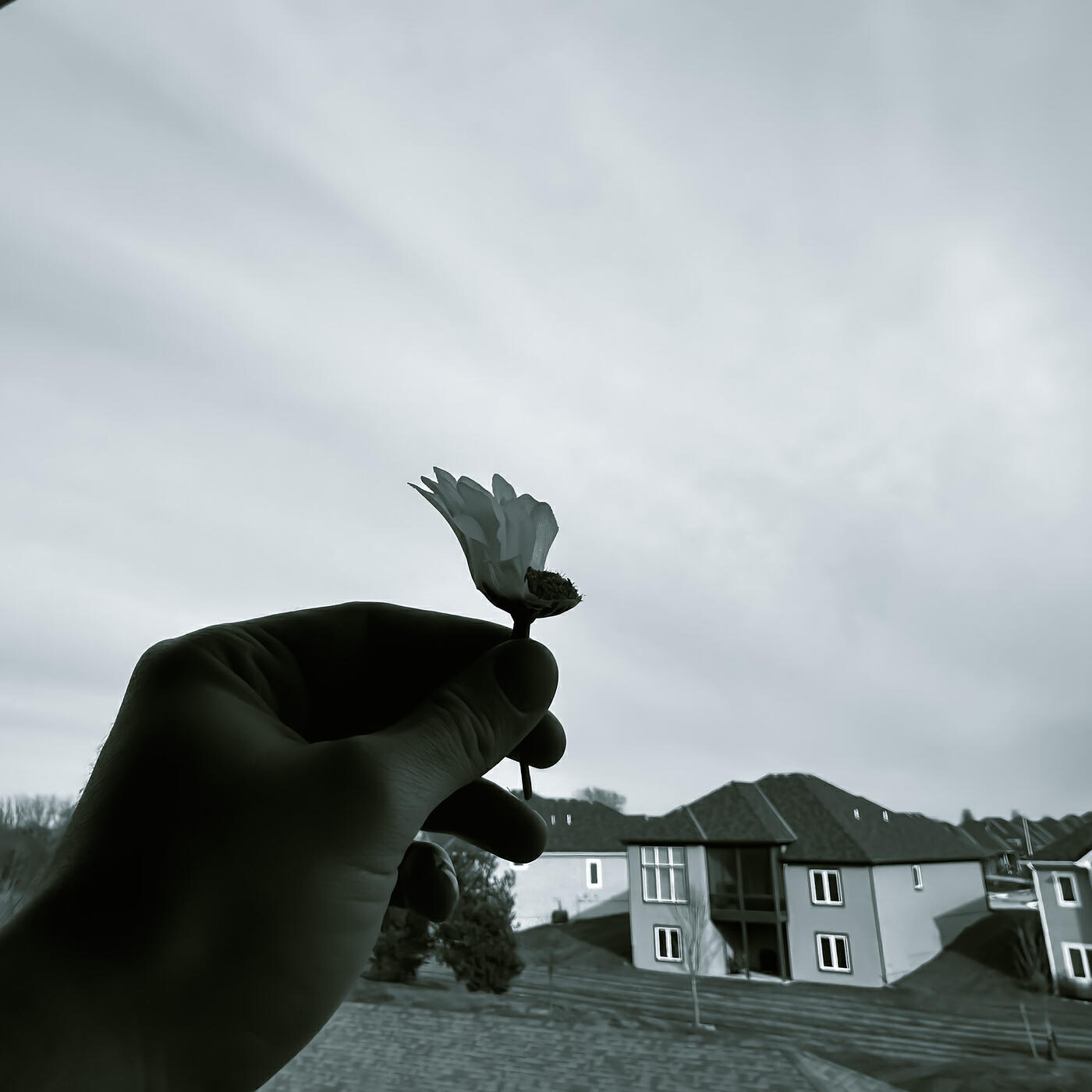 Релиз Gray