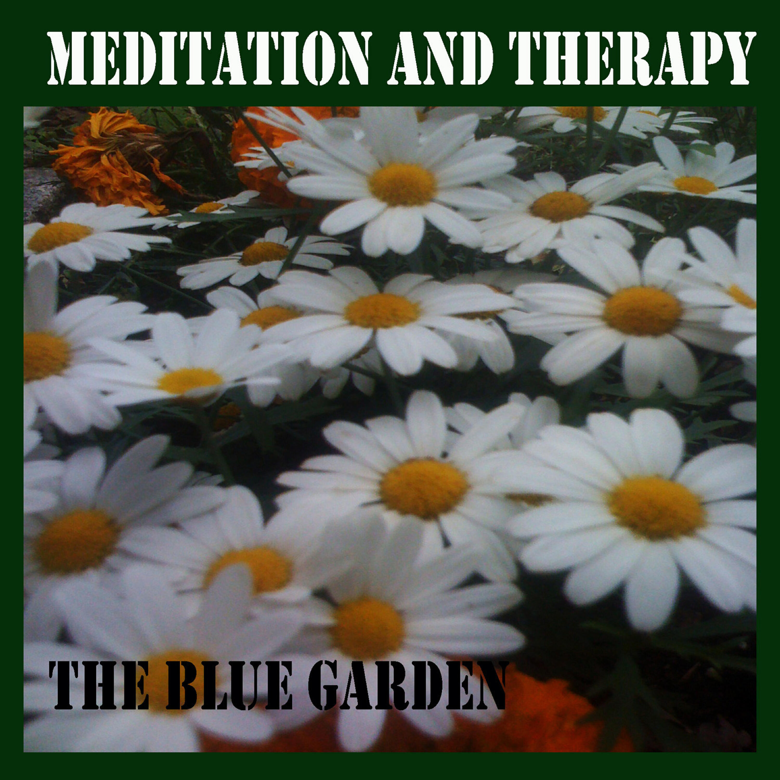 Релиз Meditation and Therapy