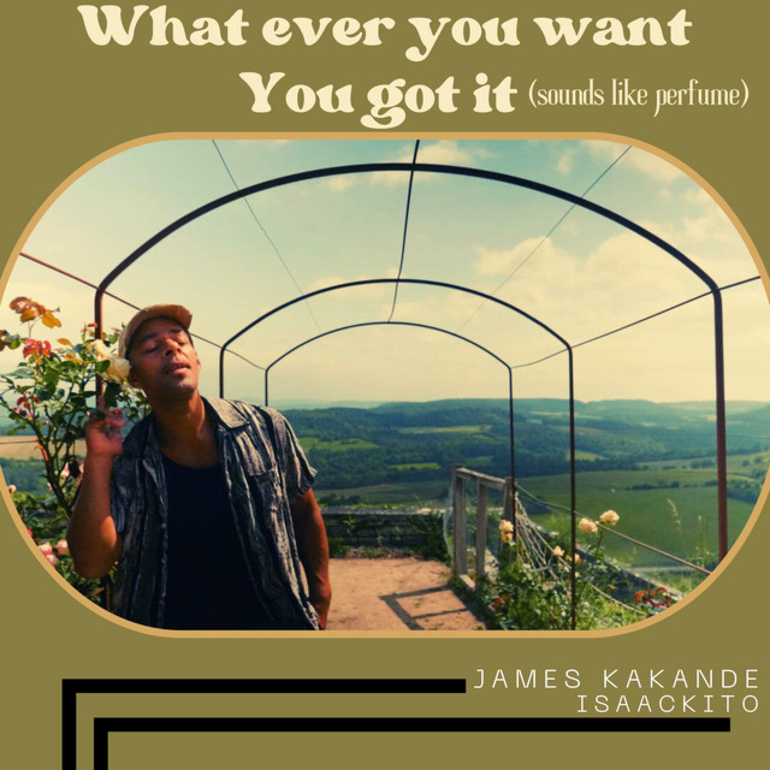 Релиз What Ever You Want You Got It (Sounds Like Perfume)