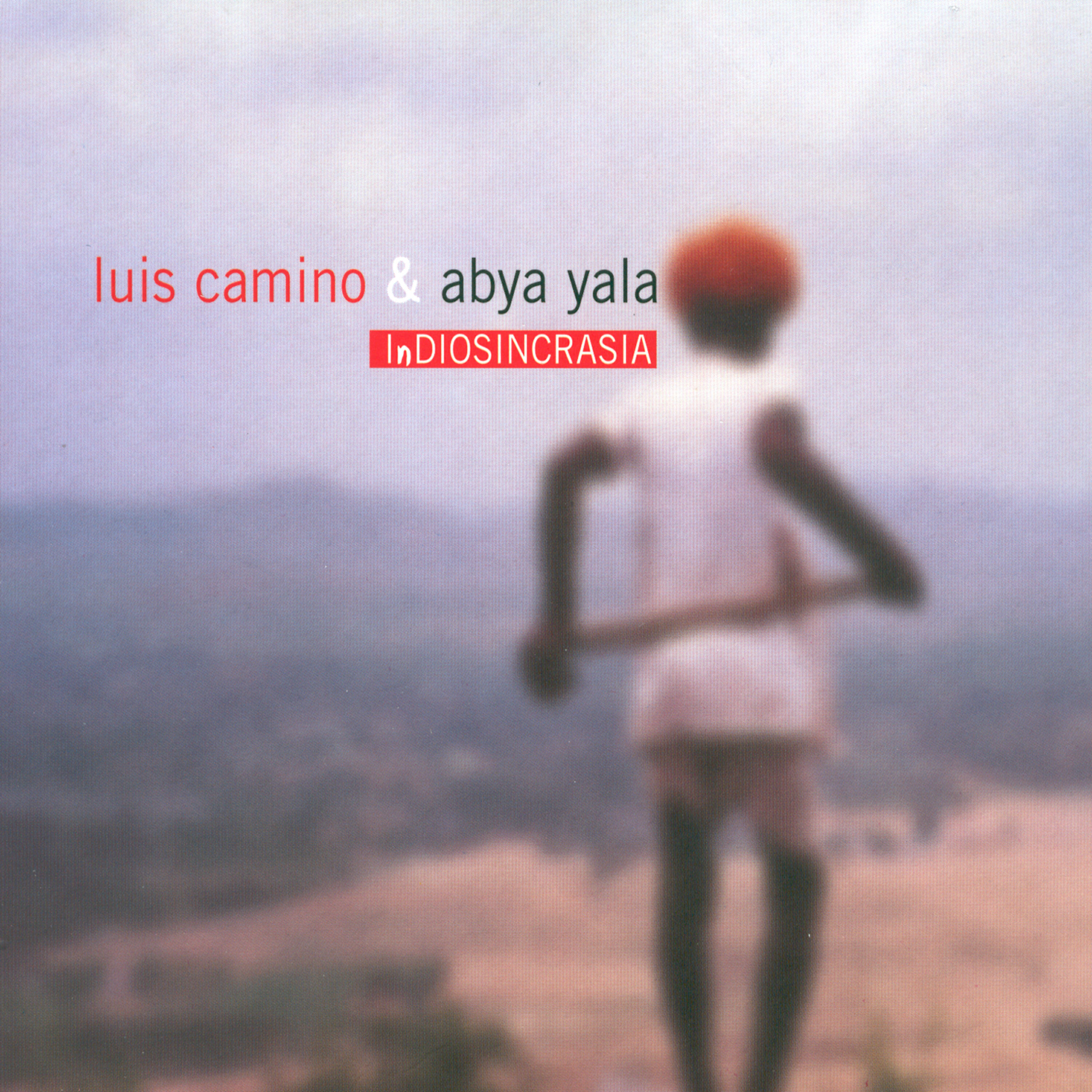 Релиз InDiosincrasia