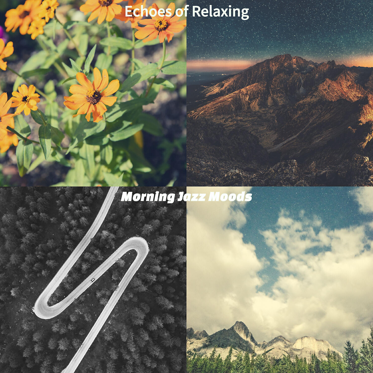 Постер альбома Echoes of Relaxing