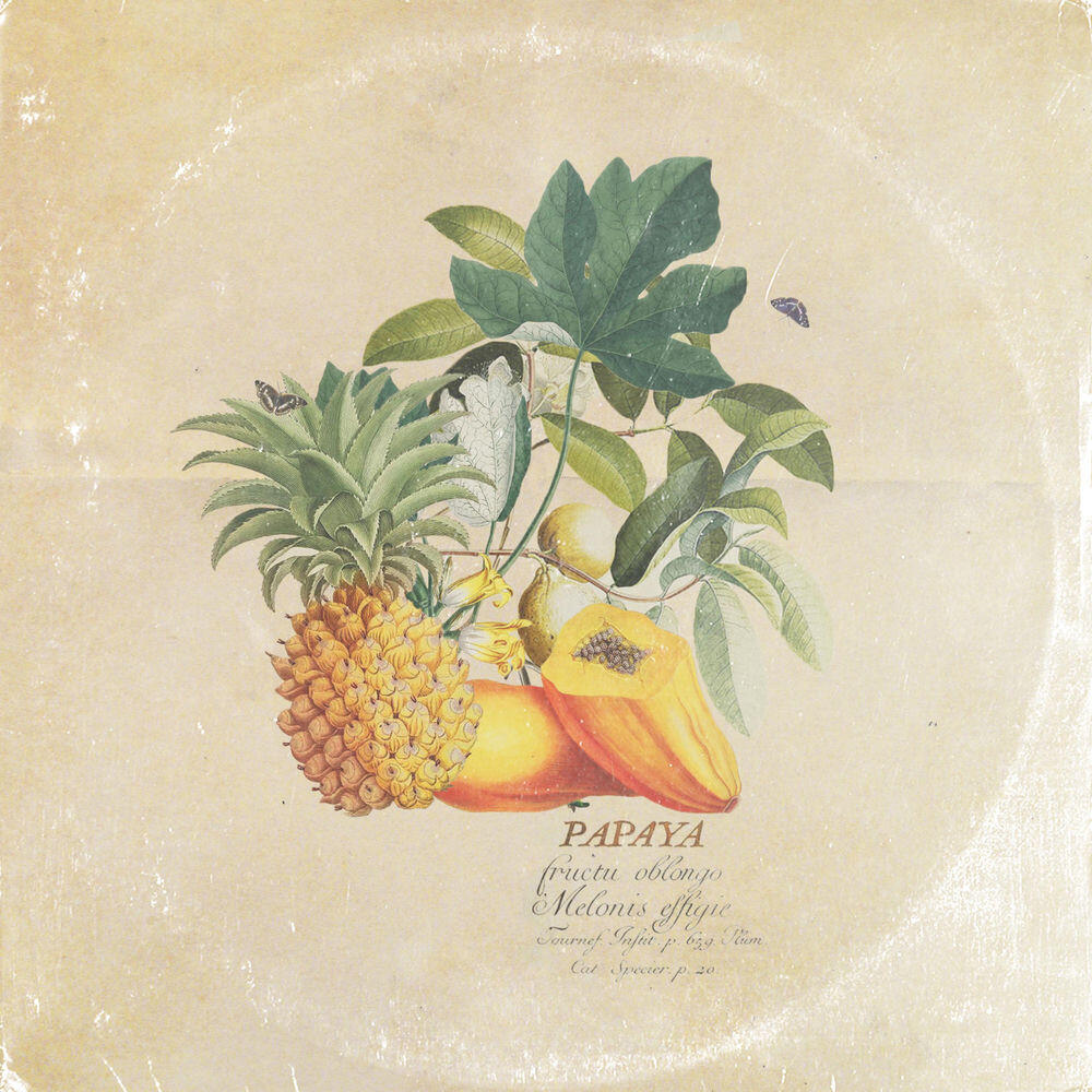 Релиз Papaya and Friends