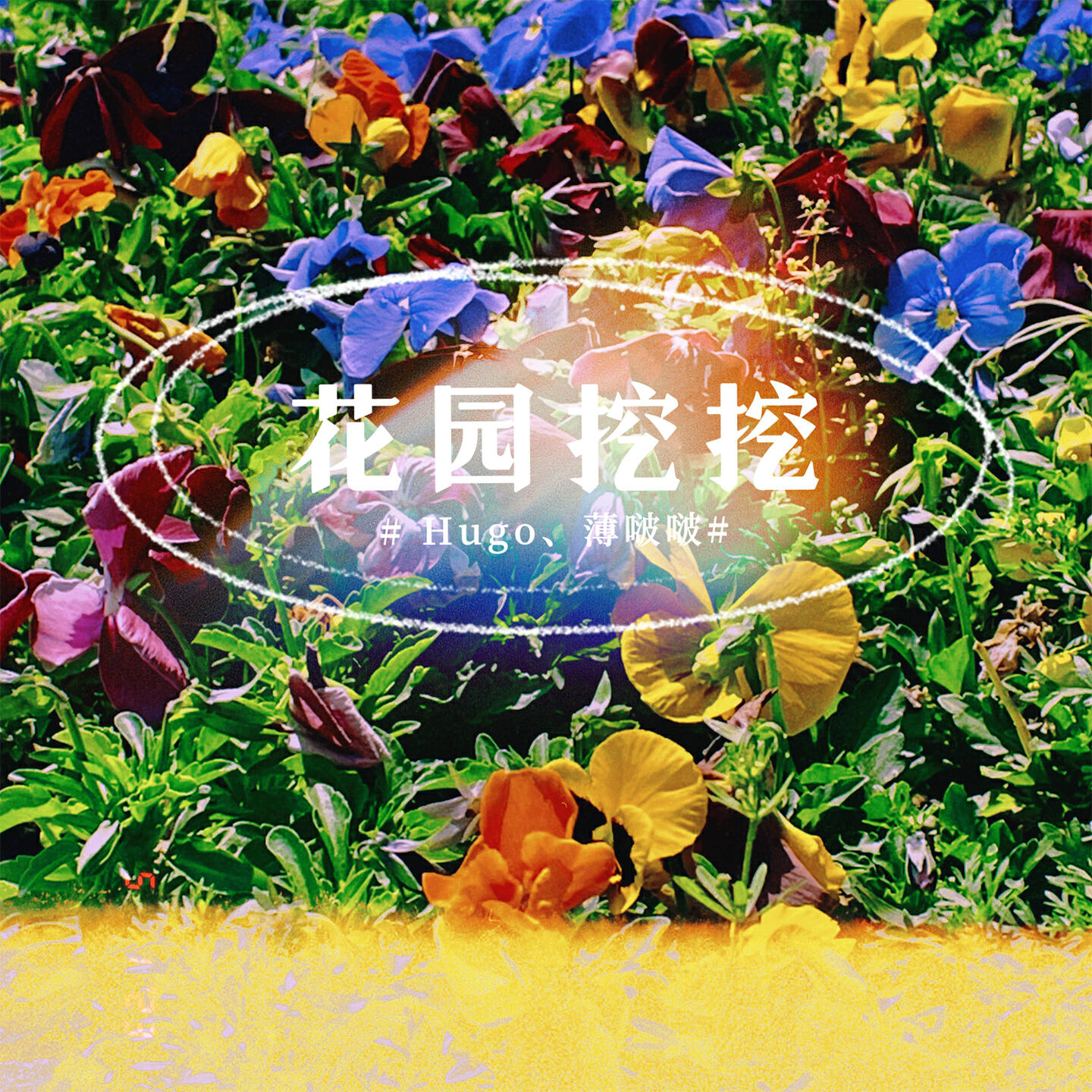 薄啵啵