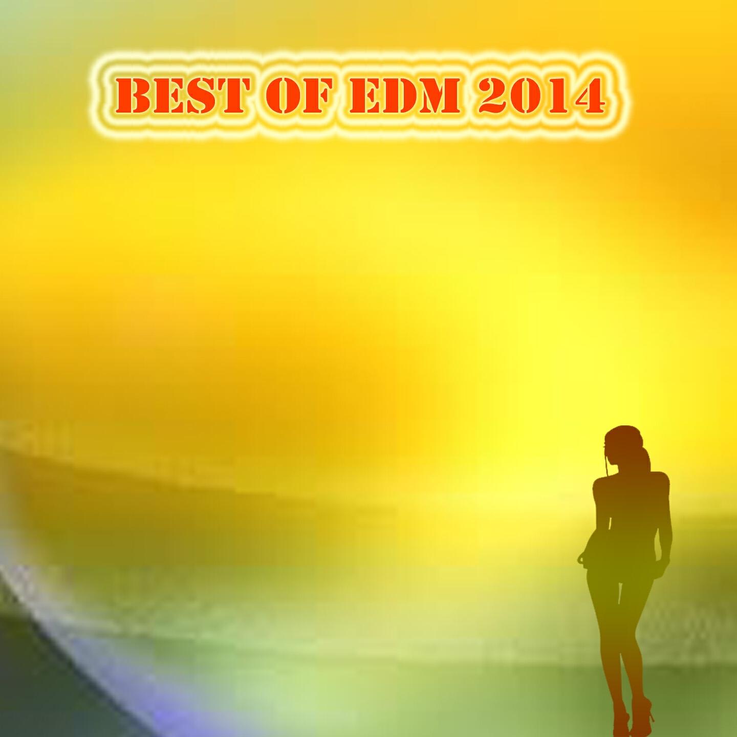 Релиз Best of Edm 2014