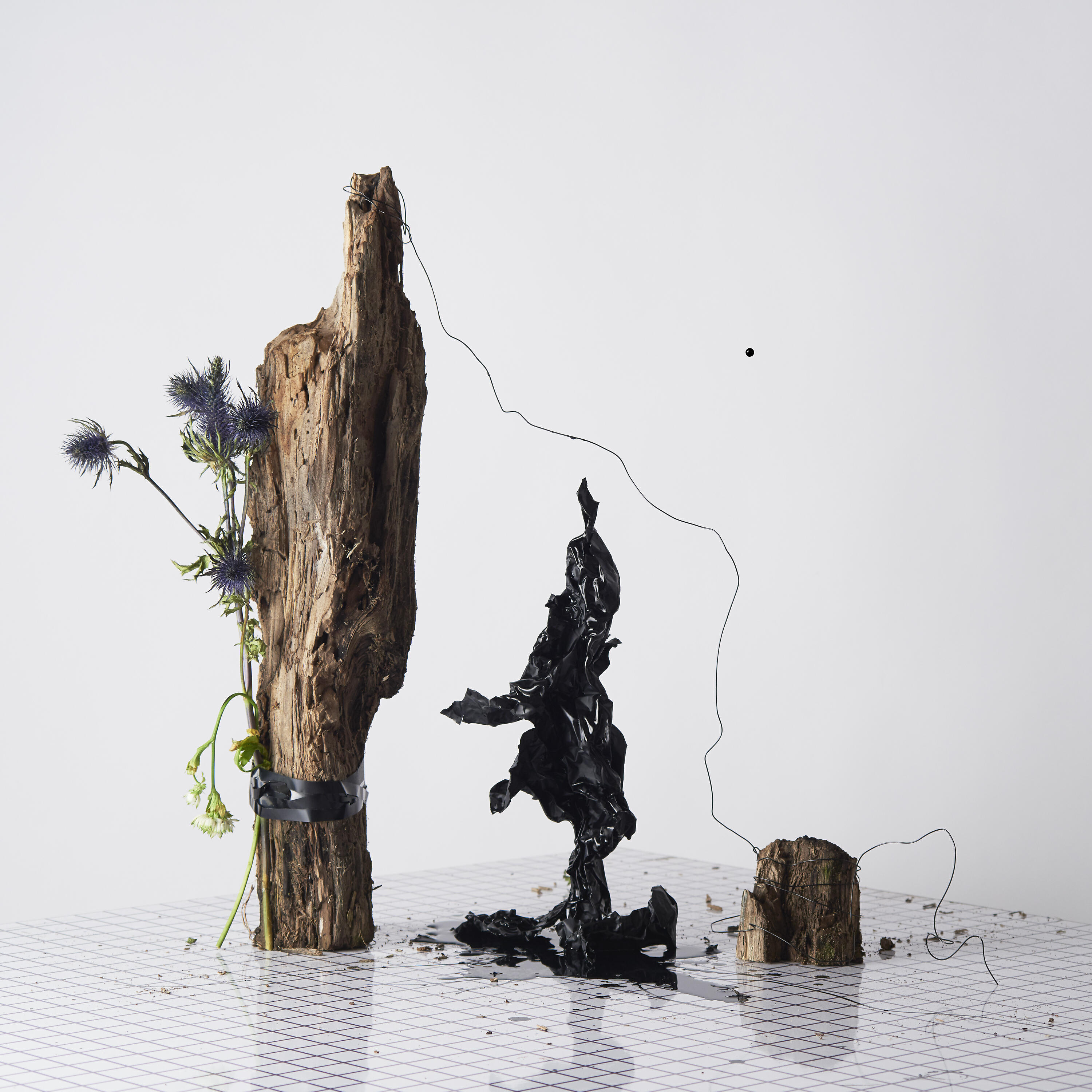 Релиз Black Anything