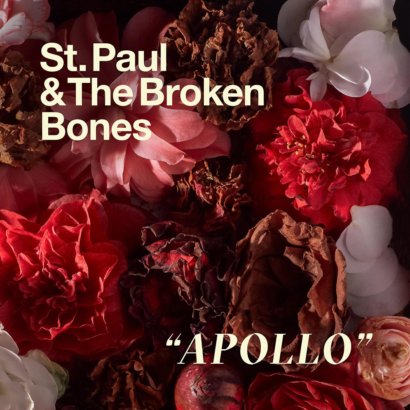 Релиз Apollo (Radio Edit)