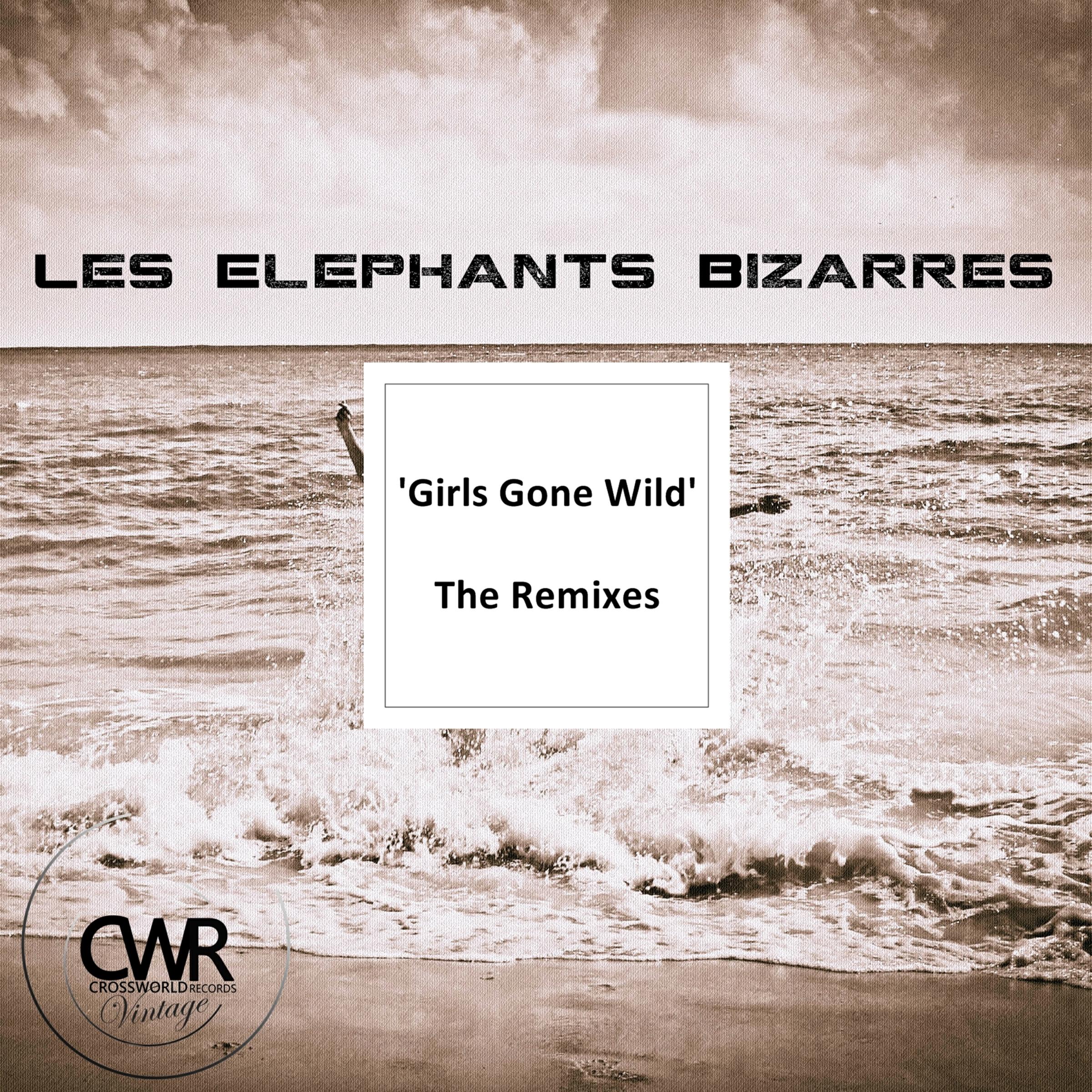 Релиз Girls Gone Wild: The Remixes