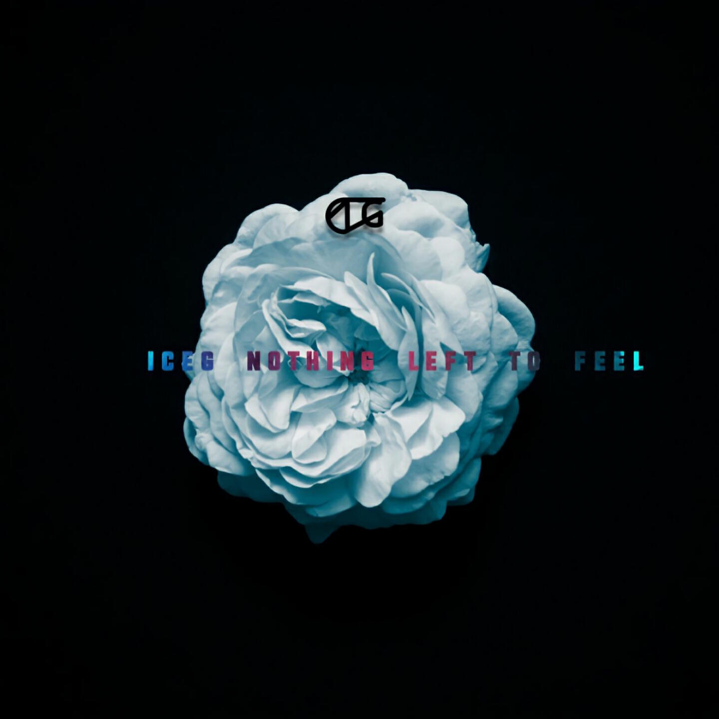 Iceg Music