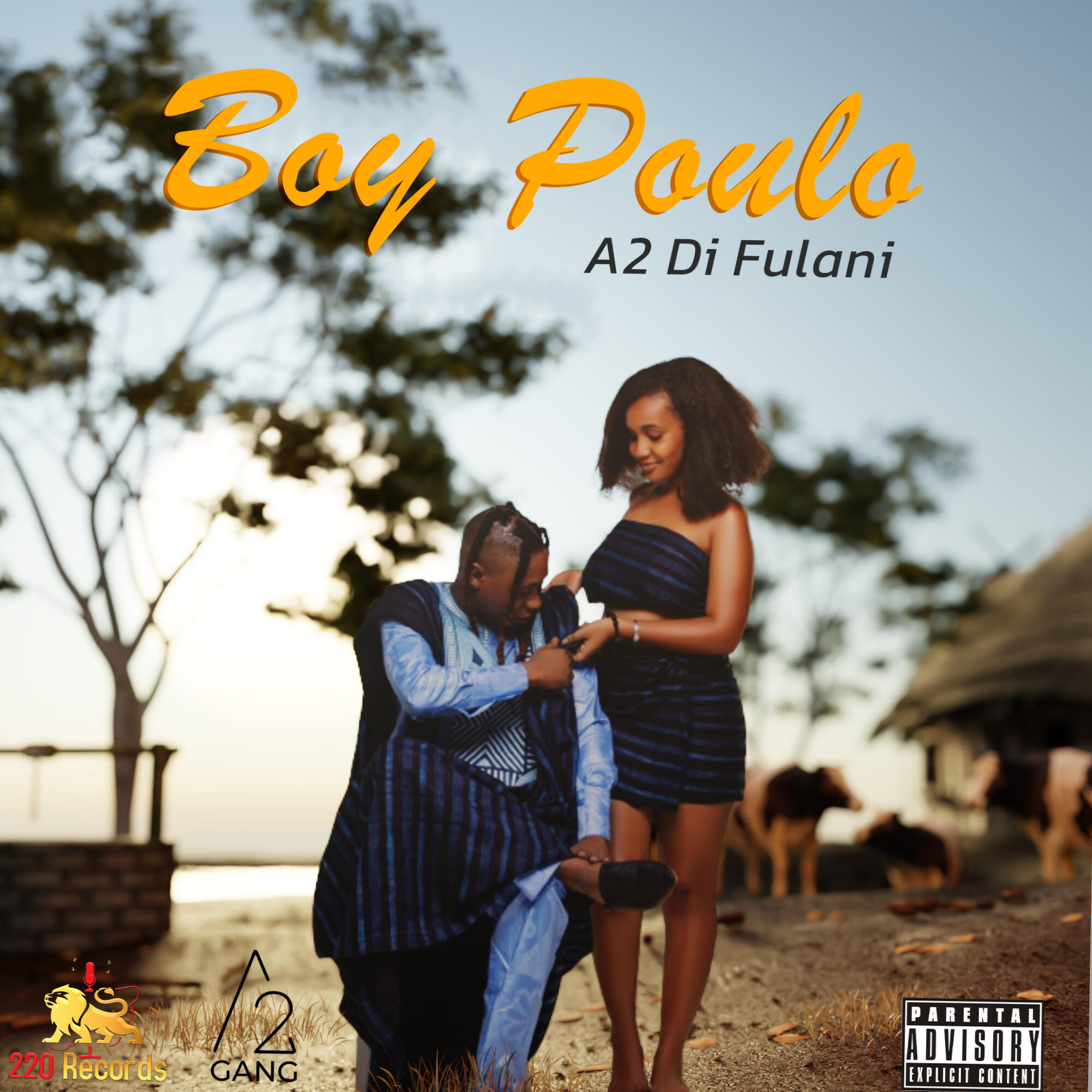 Релиз BOY POULO