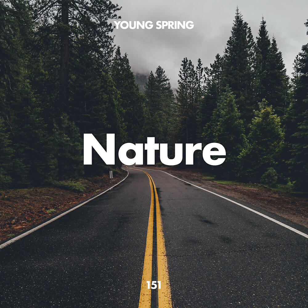 Релиз Nature